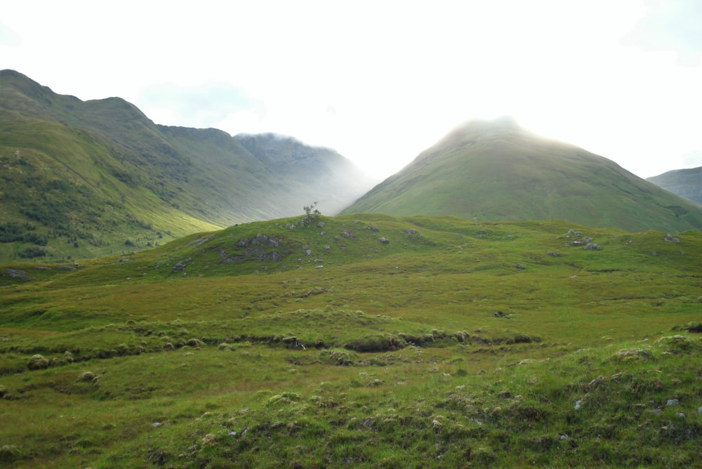 a grassy hill with hills in the background