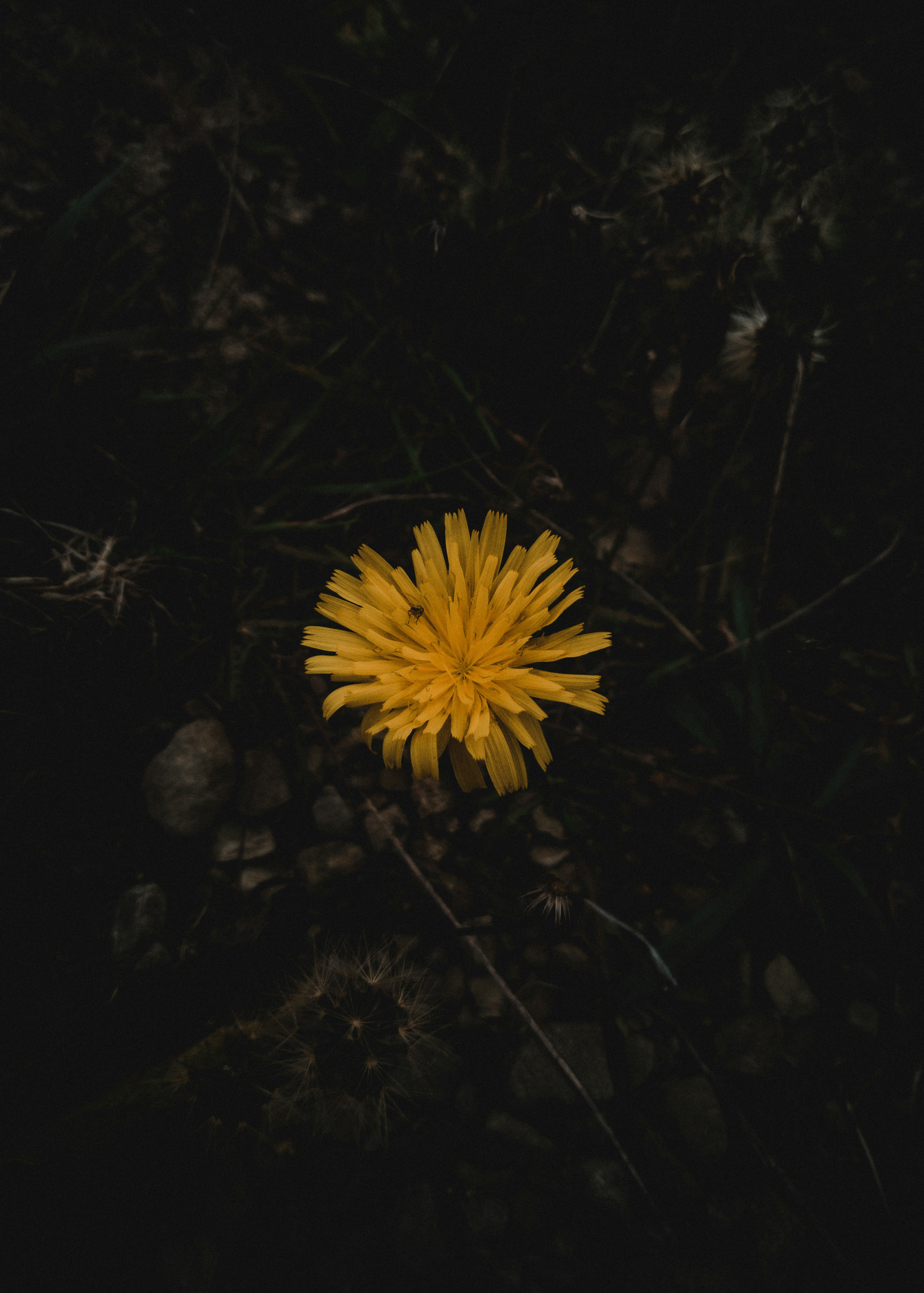 Photo by raluca_cotoara