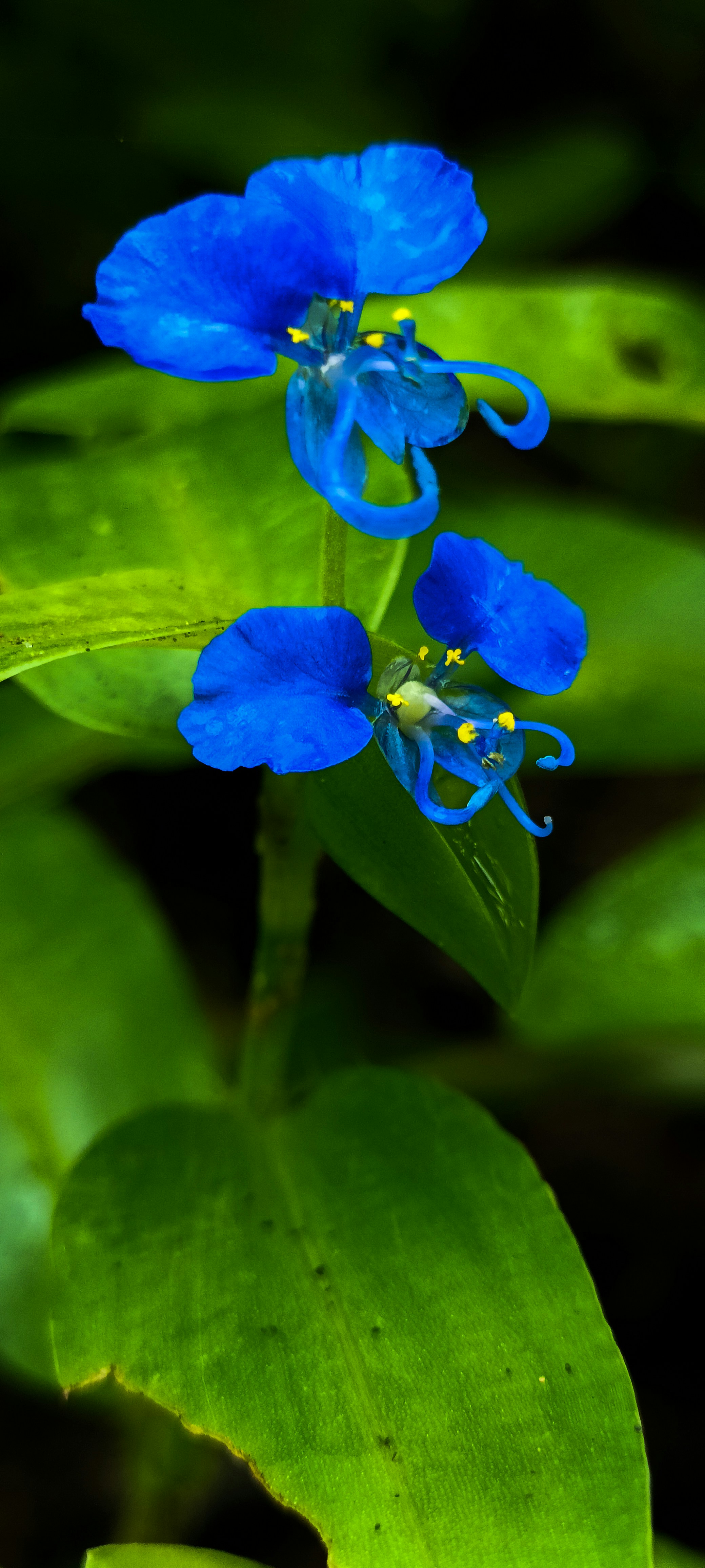 Photo by anurag_sorthiya