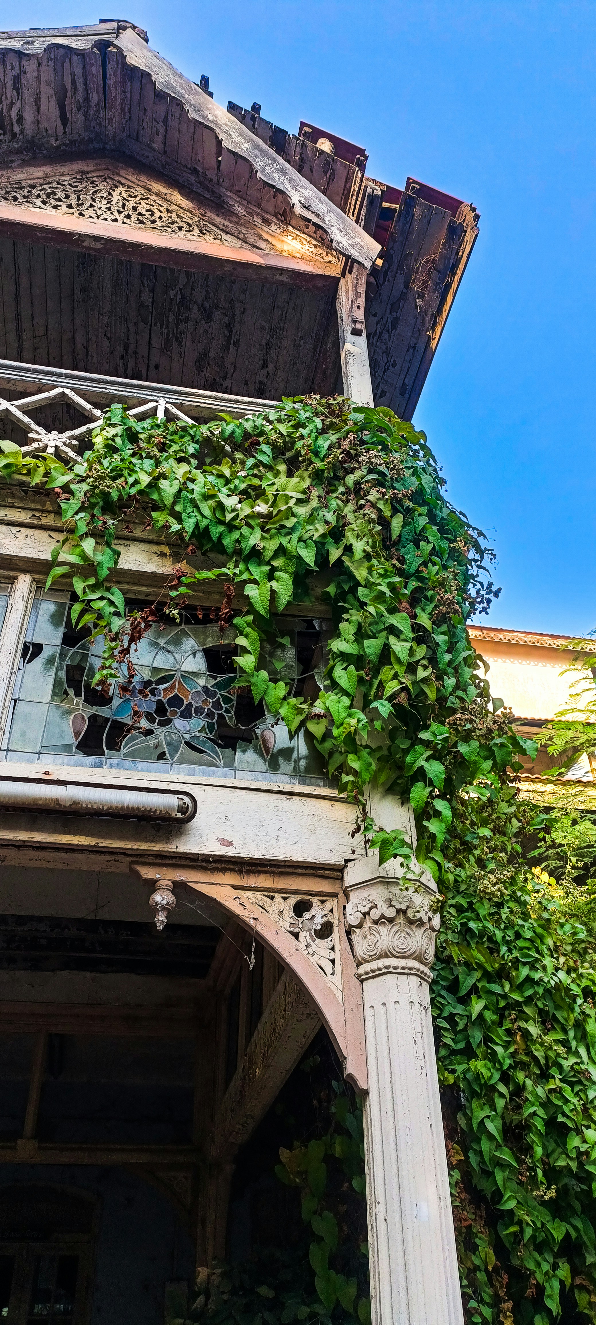 Photo by anurag_sorthiya