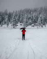 a person holding an umbrella in the snow