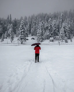a person holding an umbrella in the snow