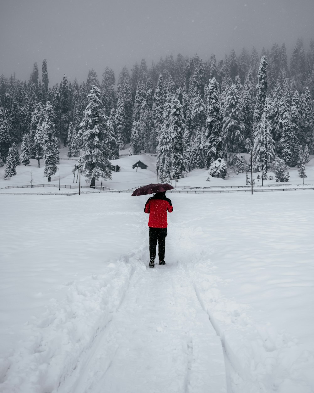 a person holding an umbrella in the snow