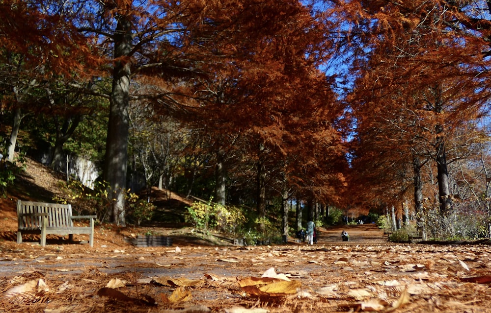 a bench in a park