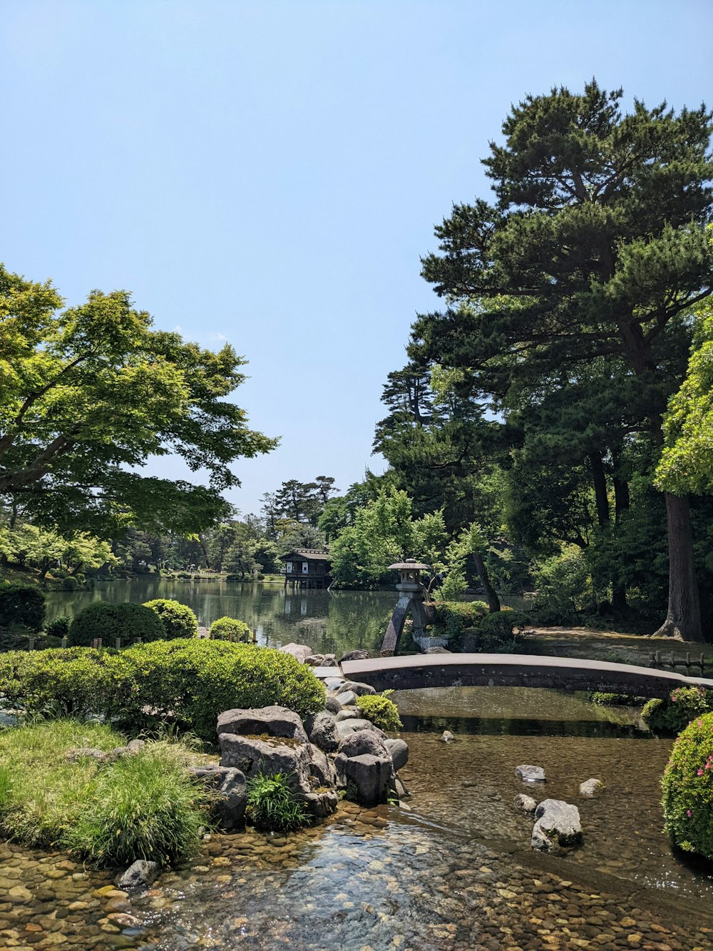 ein Teich mit Brücke und Bäumen