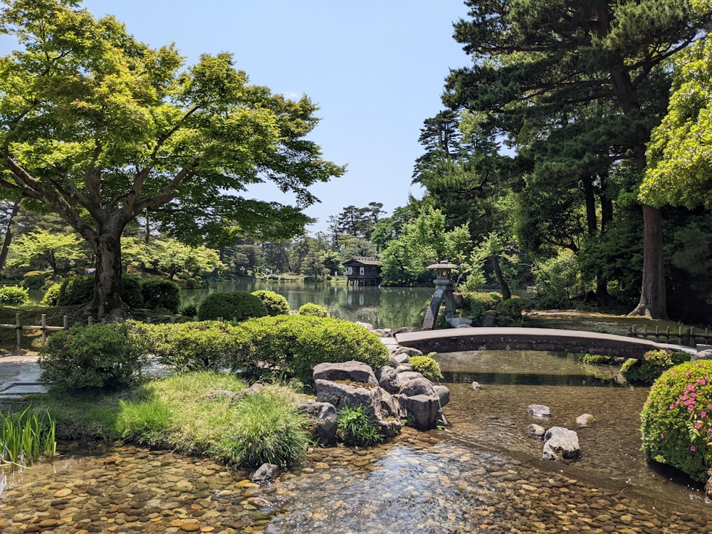 a pond with a bridge and trees