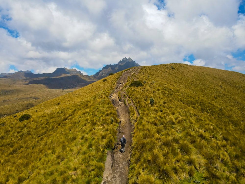 a person walking on a stone path in a grassy area