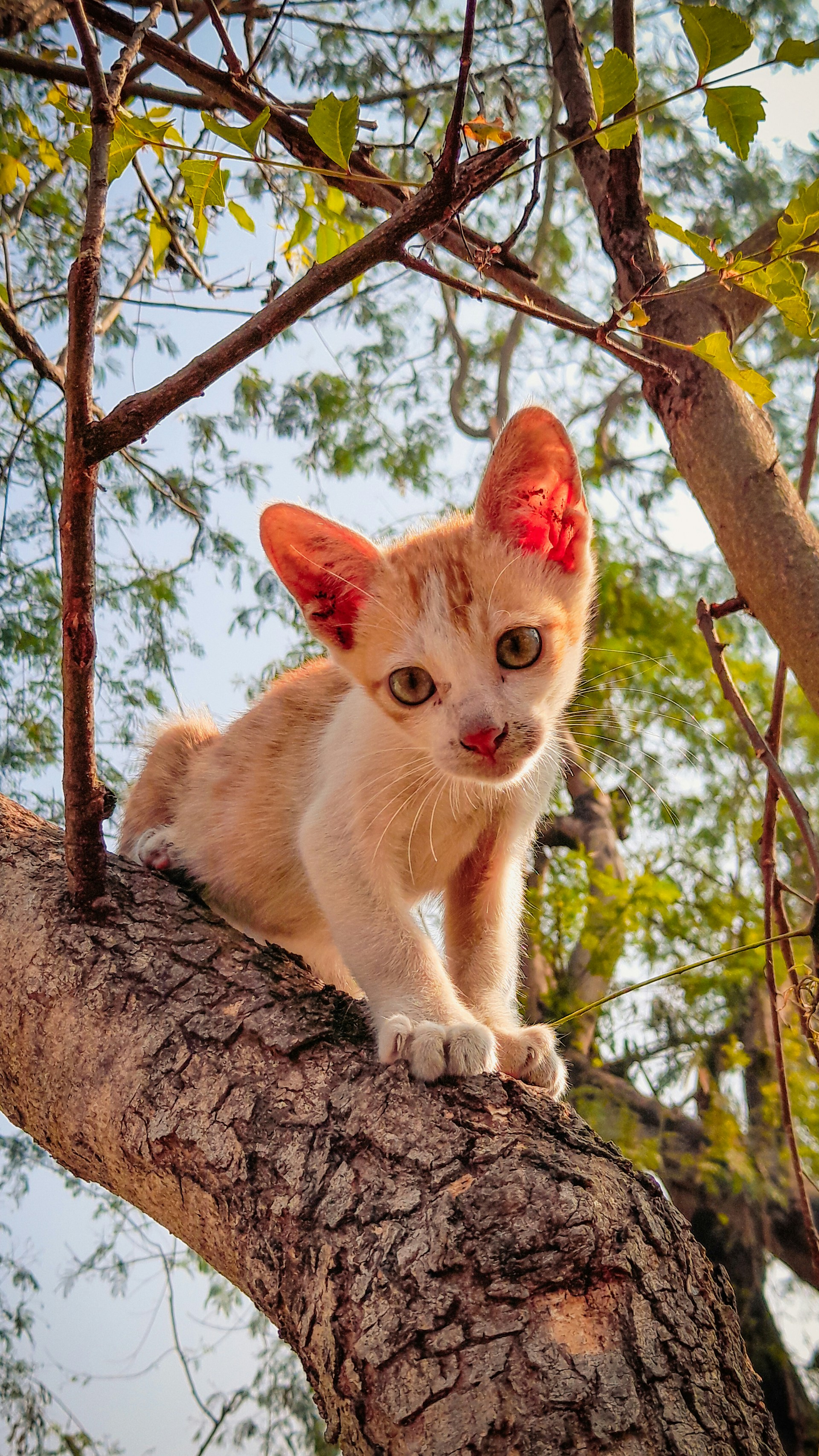 Photo by nawaz_mullani