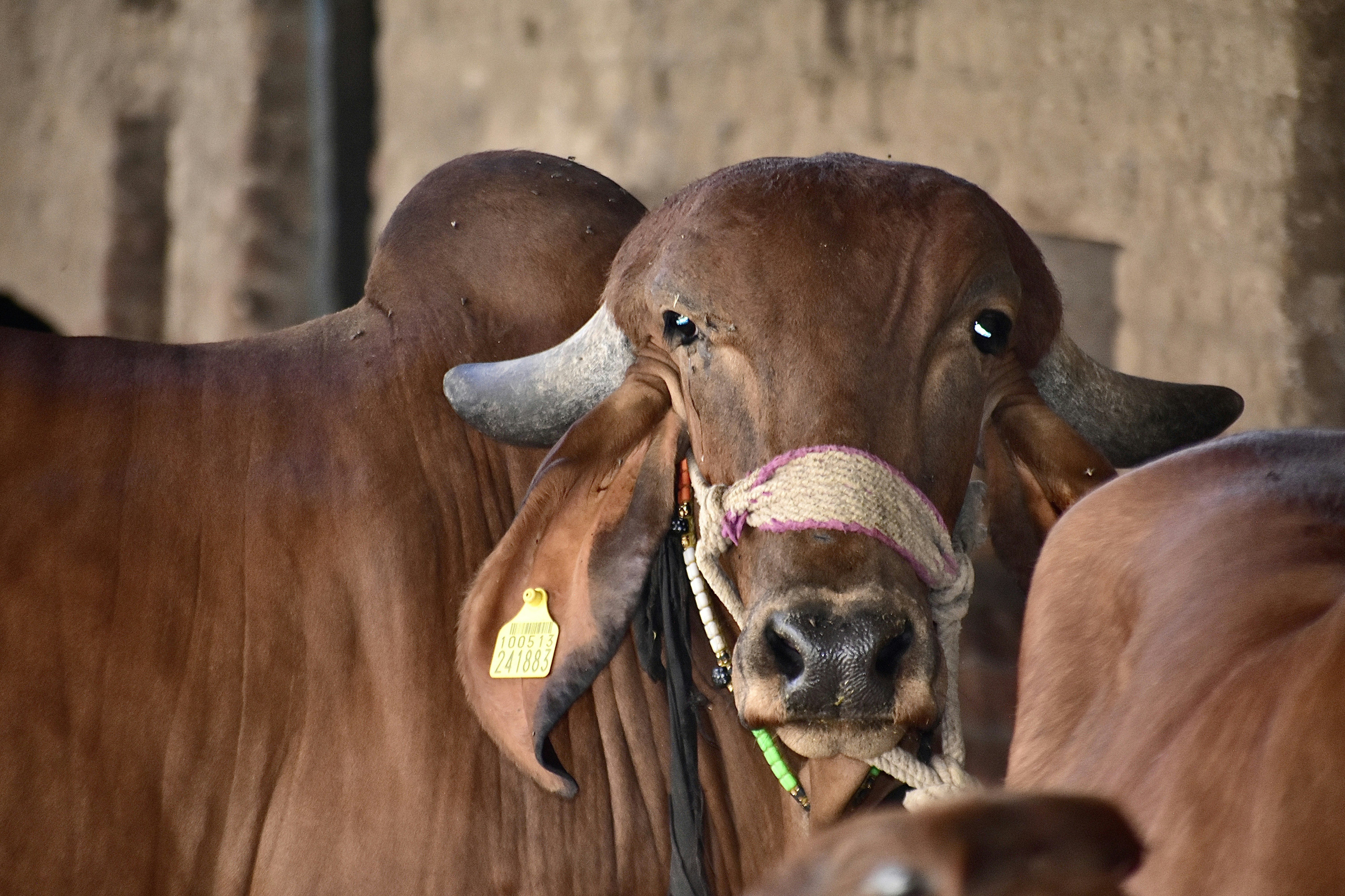 Photo by uttam_patidar