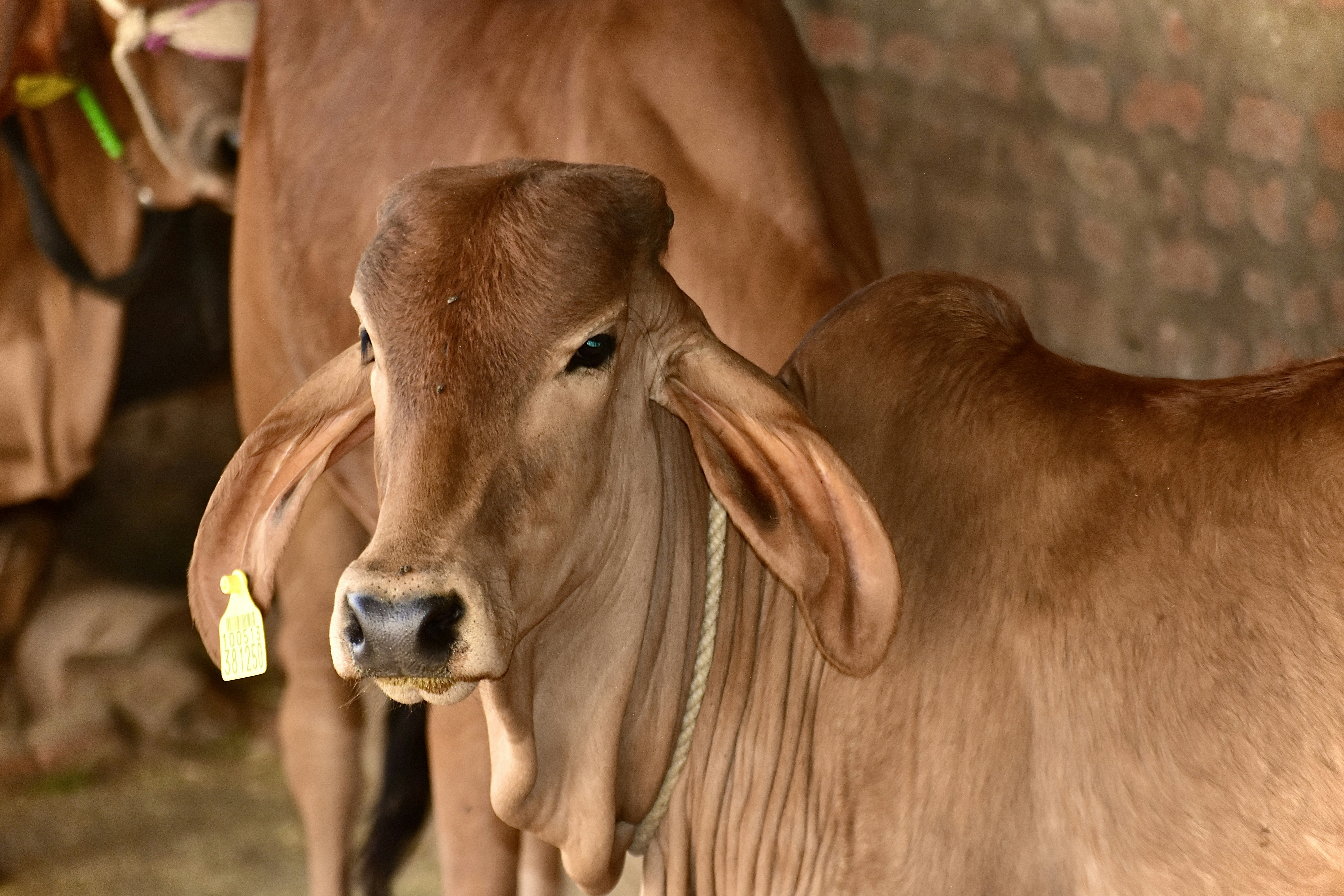 Photo by uttam_patidar