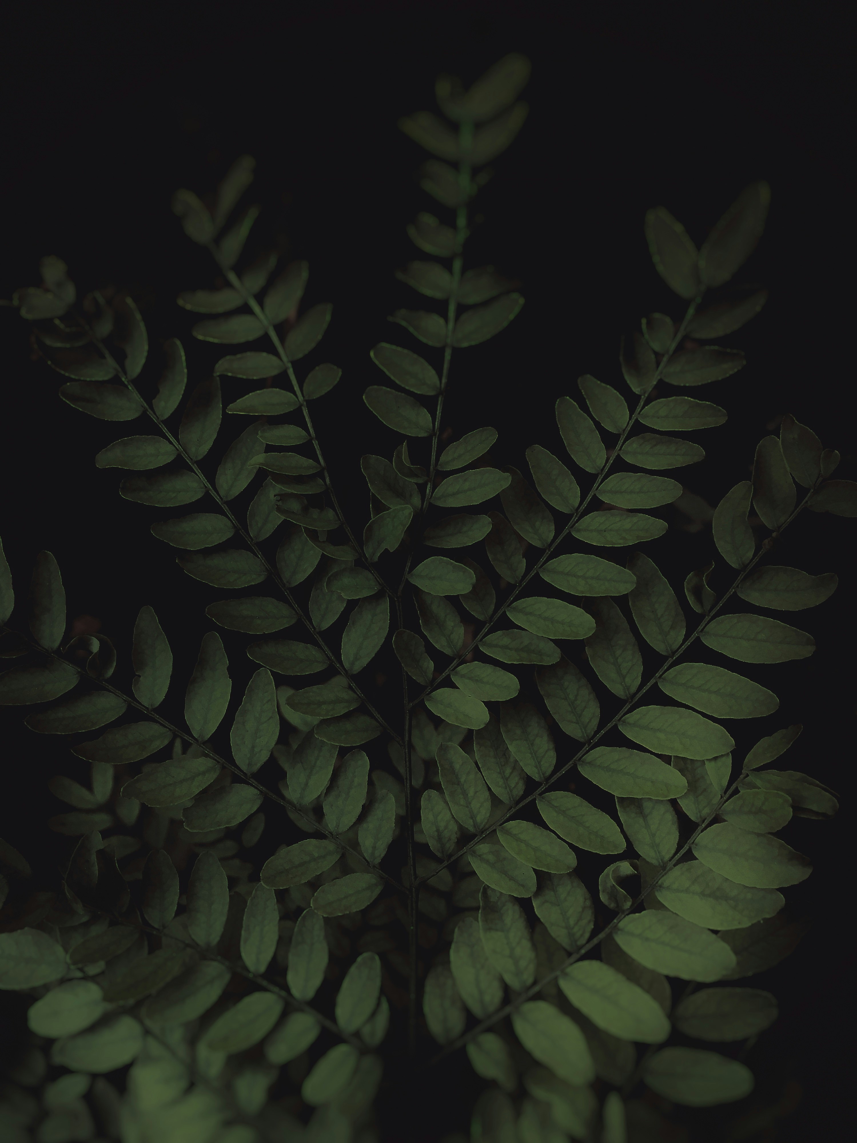 Photo by benjamindem