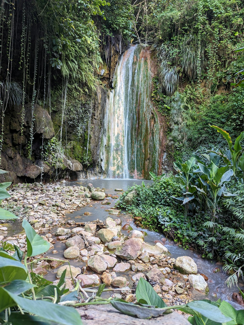 a waterfall in a forest