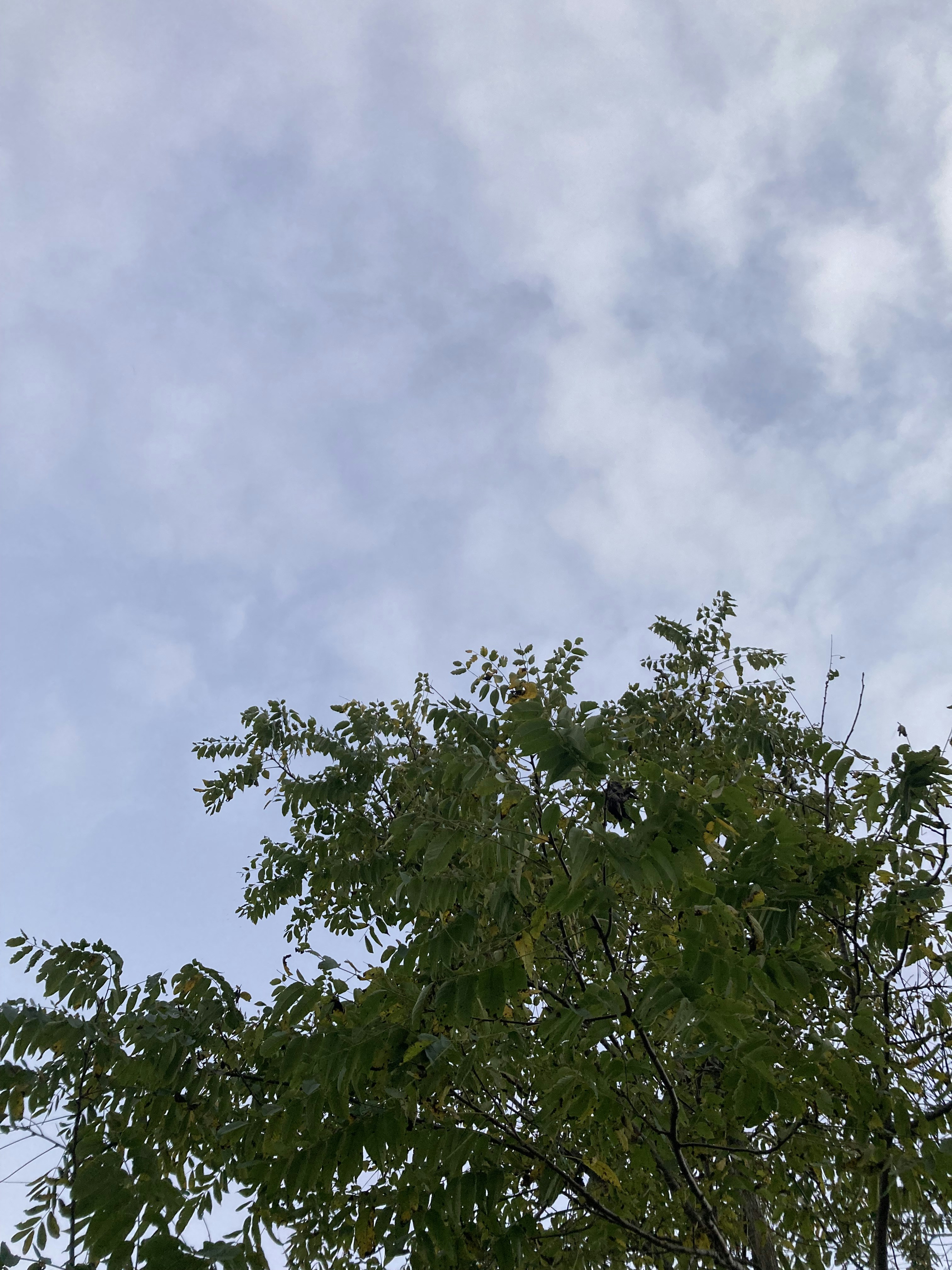 Photo by tourmalinewof