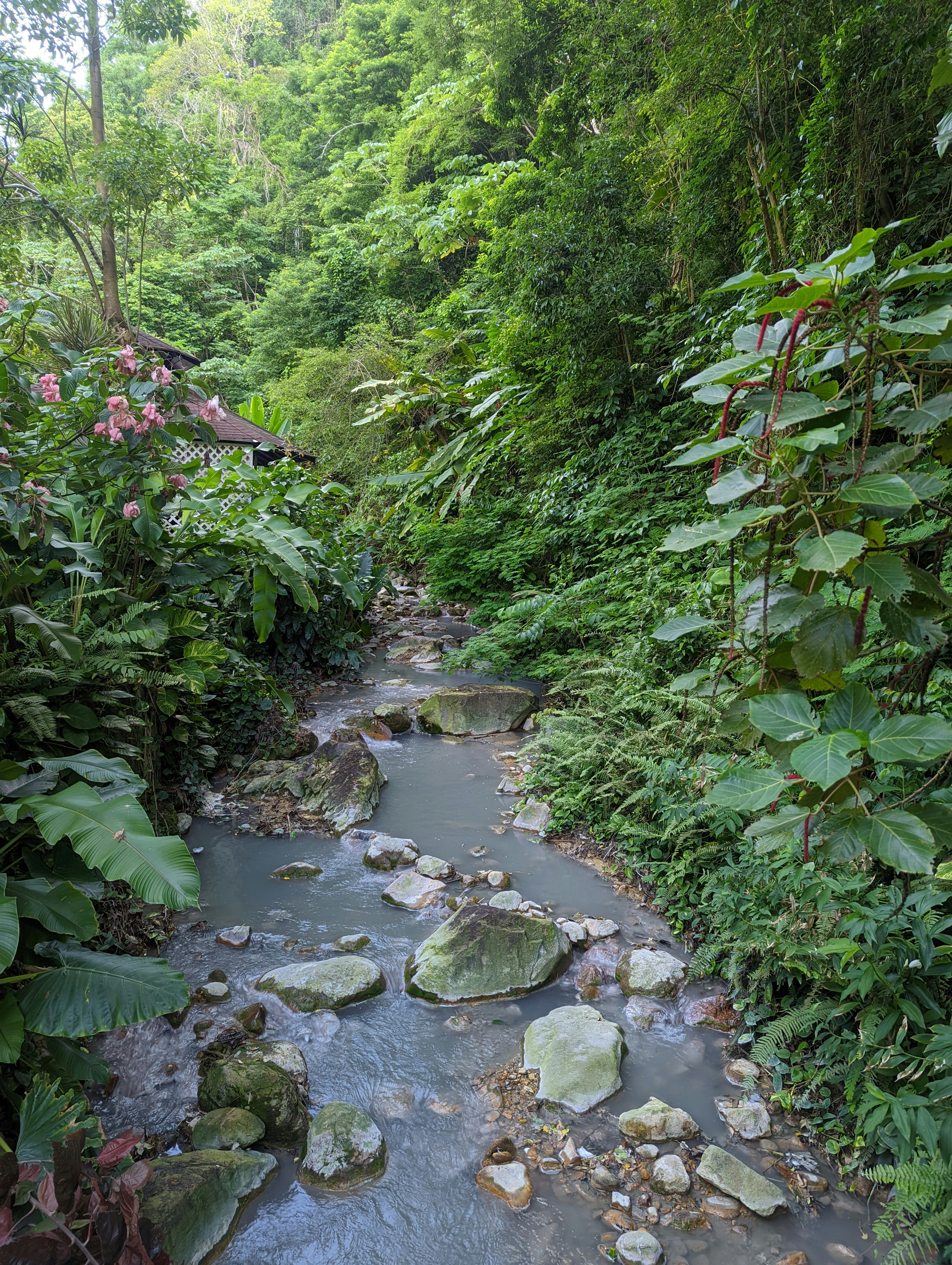 Photo by tharun_gowda