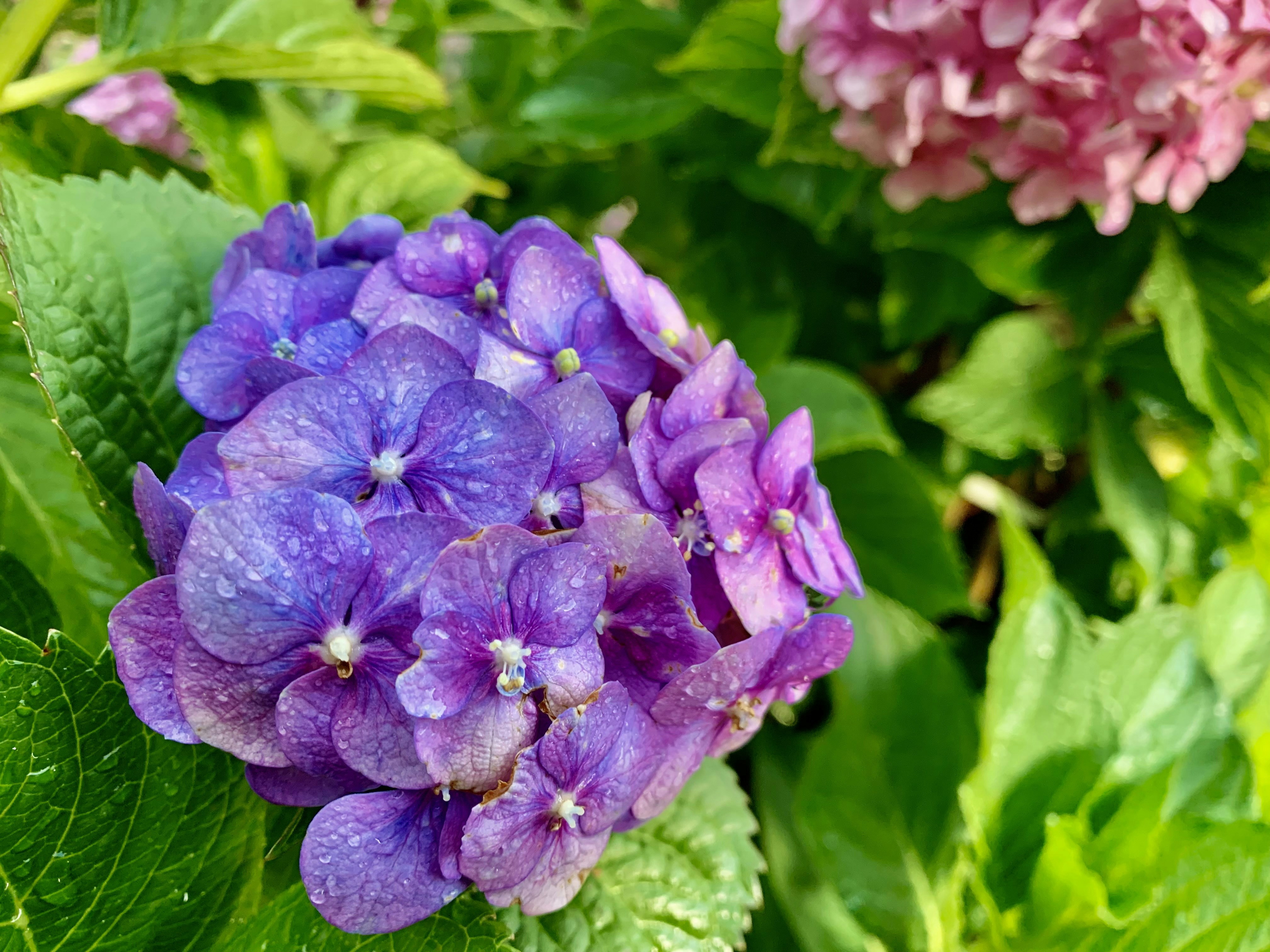 Photo by bossx918spy