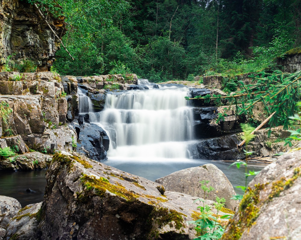 a waterfall in a forest