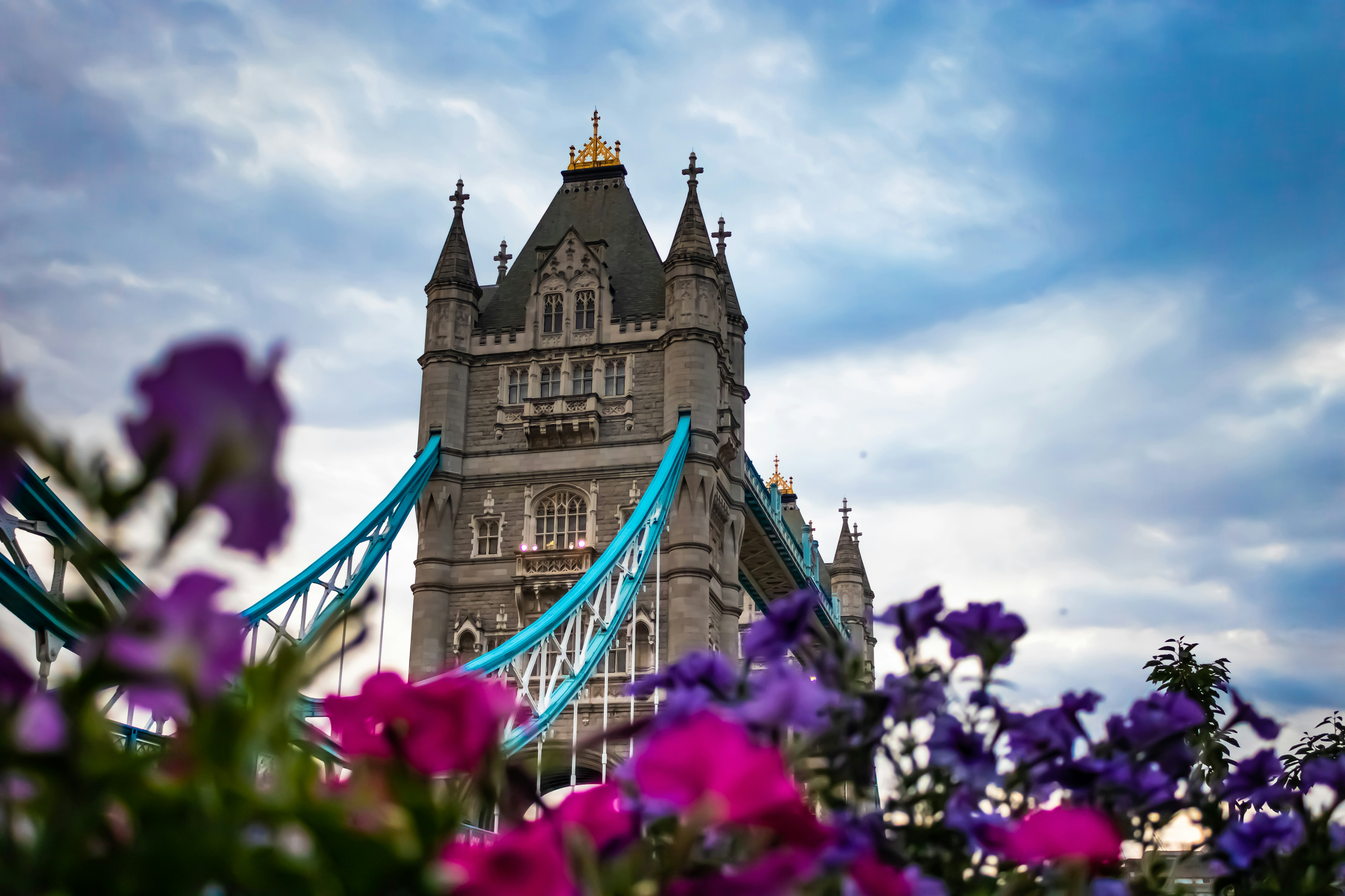 a castle with purple flowers