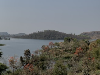 a body of water with trees around it