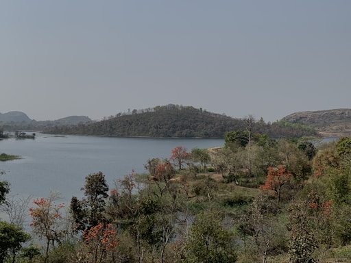 a body of water with trees around it