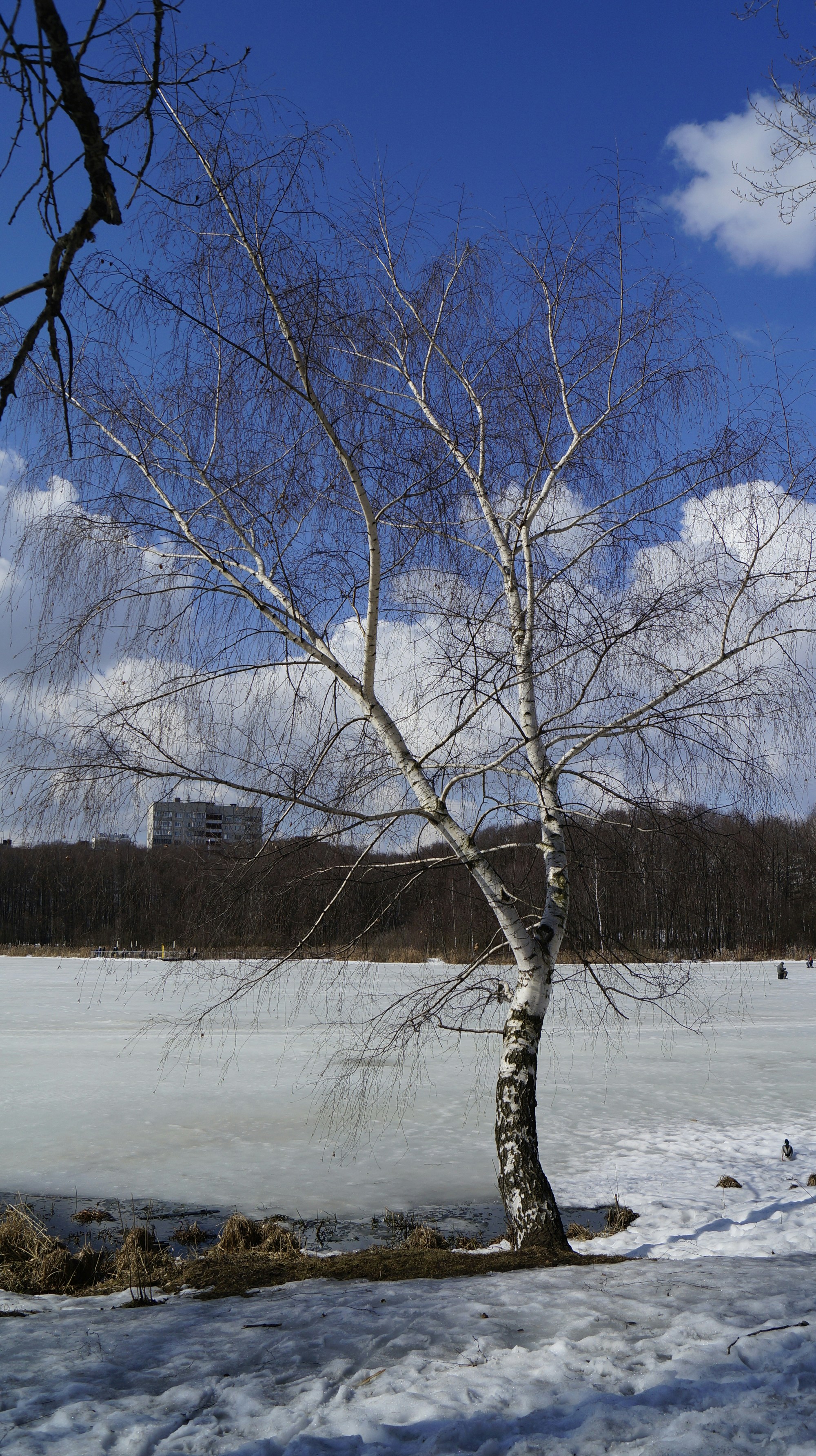 Photo by xenia777