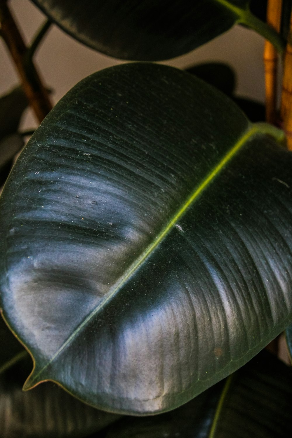 a close up of a green and black object