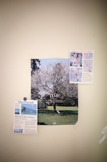 A beige wall displays three pieces of paper attached to it. The central image is a poster of a leafless tree on a grassy field under a blue sky, with text that reads 'TIME again' and additional smaller text. To the left is a newspaper clipping titled 'Het Parool' featuring text and an image of a person on a hill. On the right is a smaller page with images of flowers and text mentioning 'New'.