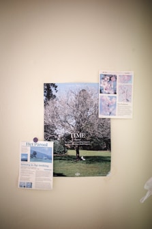 A beige wall displays three pieces of paper attached to it. The central image is a poster of a leafless tree on a grassy field under a blue sky, with text that reads 'TIME again' and additional smaller text. To the left is a newspaper clipping titled 'Het Parool' featuring text and an image of a person on a hill. On the right is a smaller page with images of flowers and text mentioning 'New'.