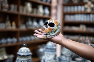 a hand holding a skull