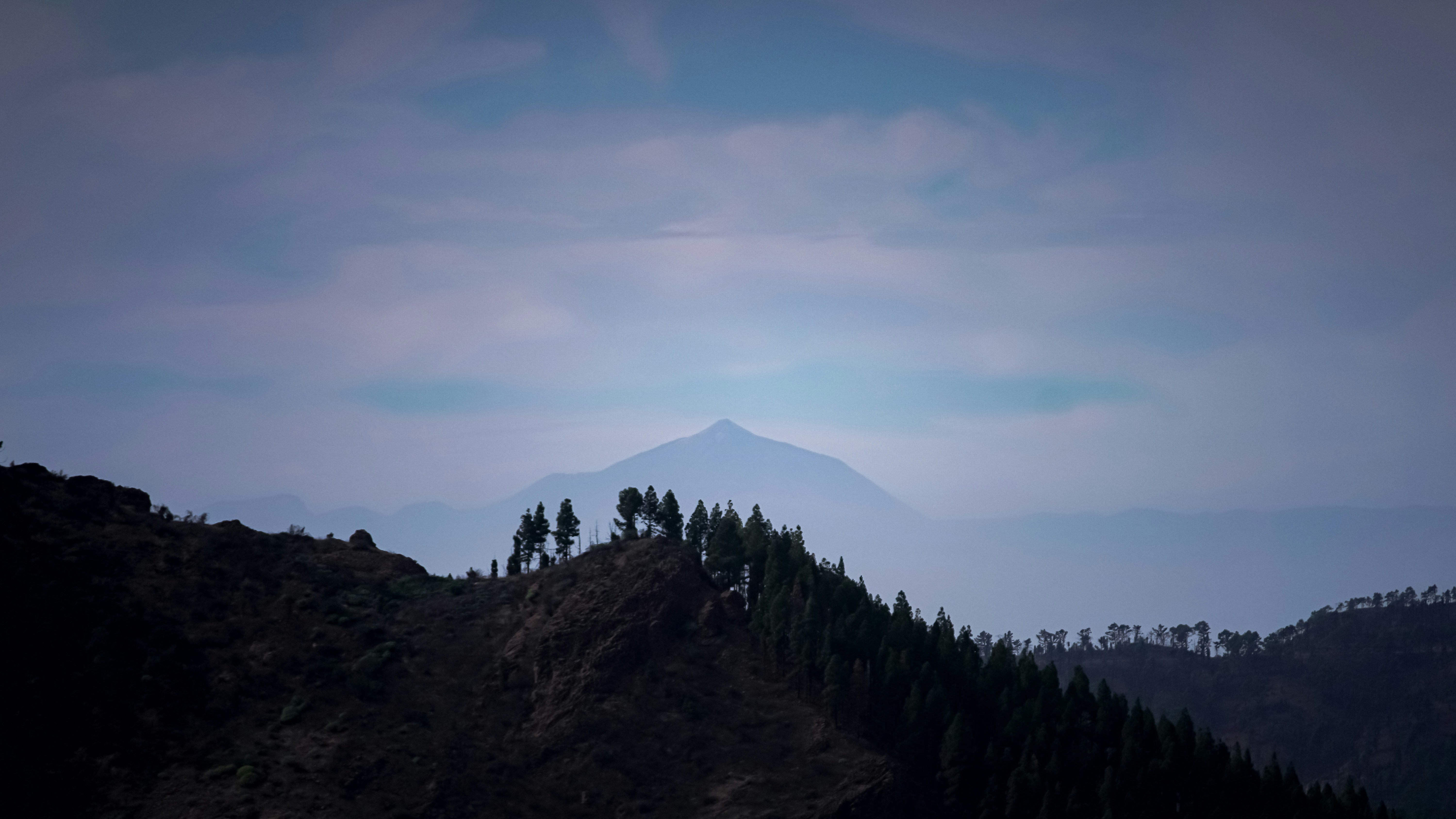 a mountain with trees on it