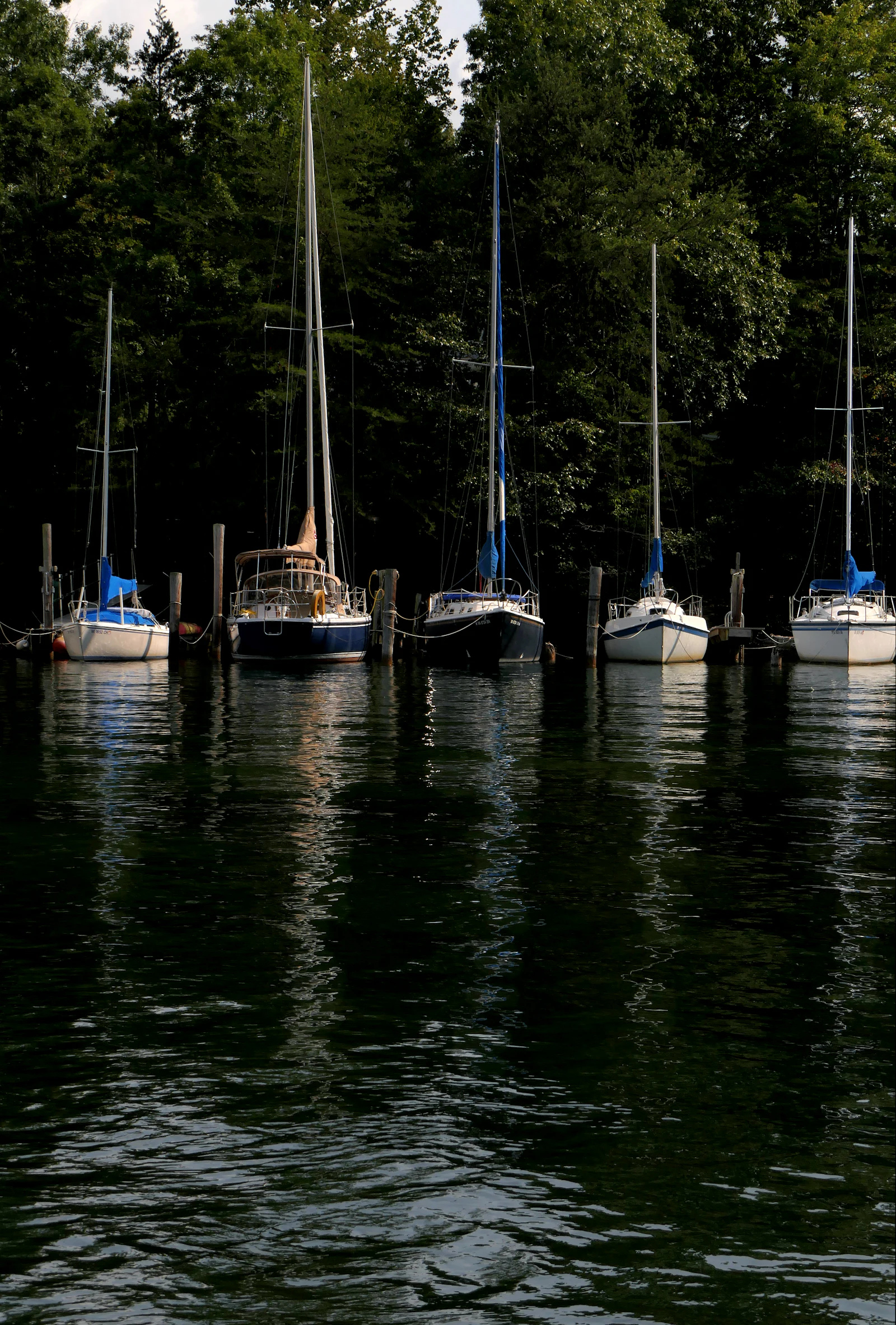 Sailboats moored along a dock at dusk.