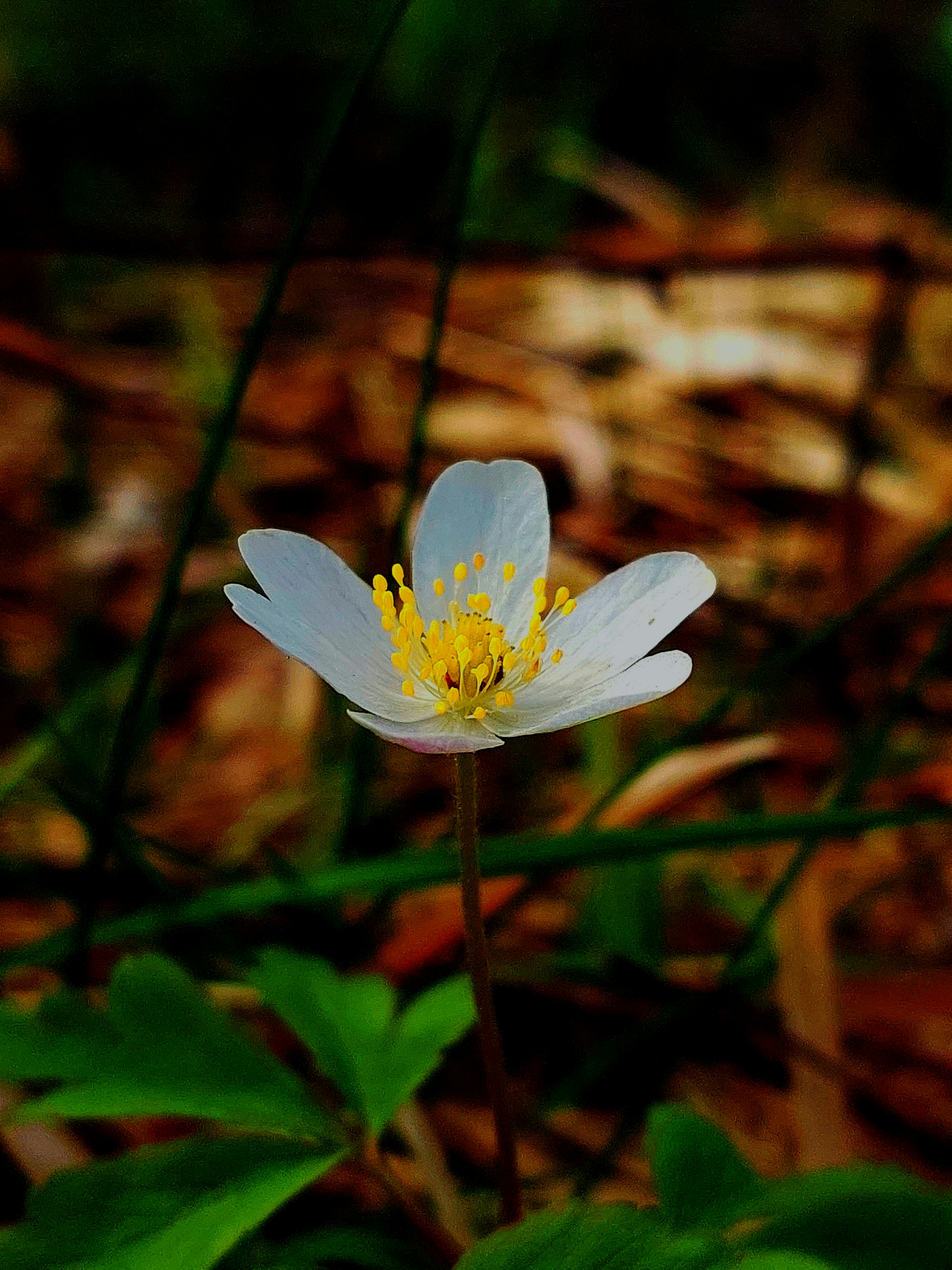 Photo by aastikmaurya