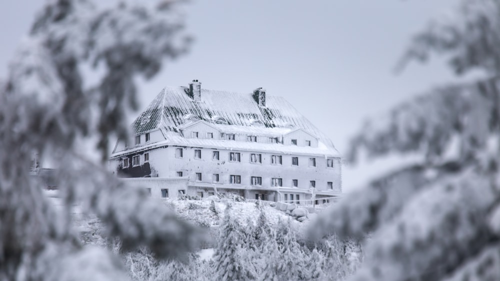 a white building with a snow covered roof surrounded by trees