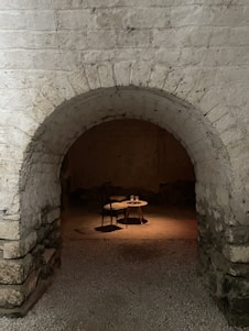 A dimly lit tavern interior with a mysterious guide singing passionately, shadows dancing on wooden beams.