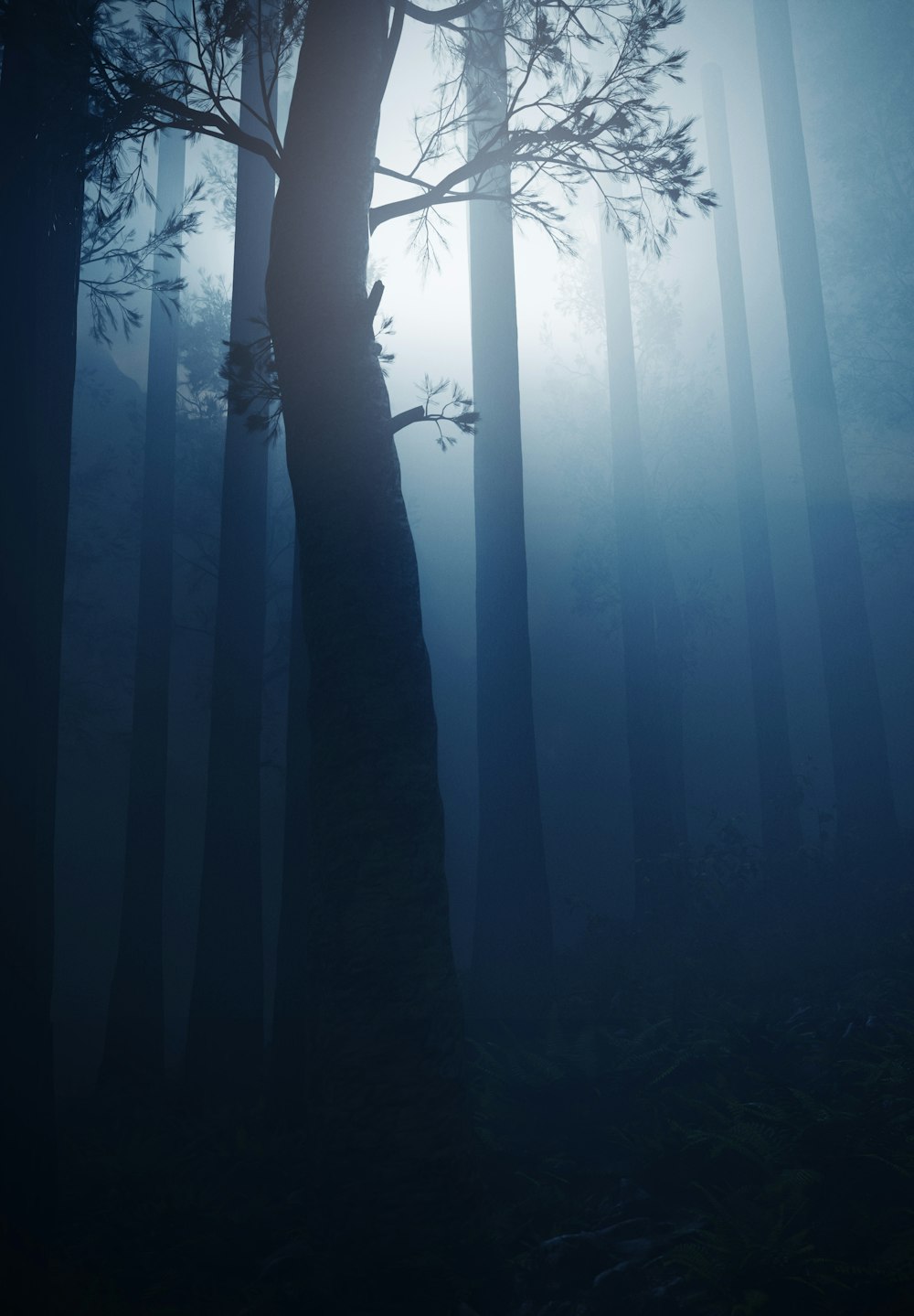 a person climbing a tree