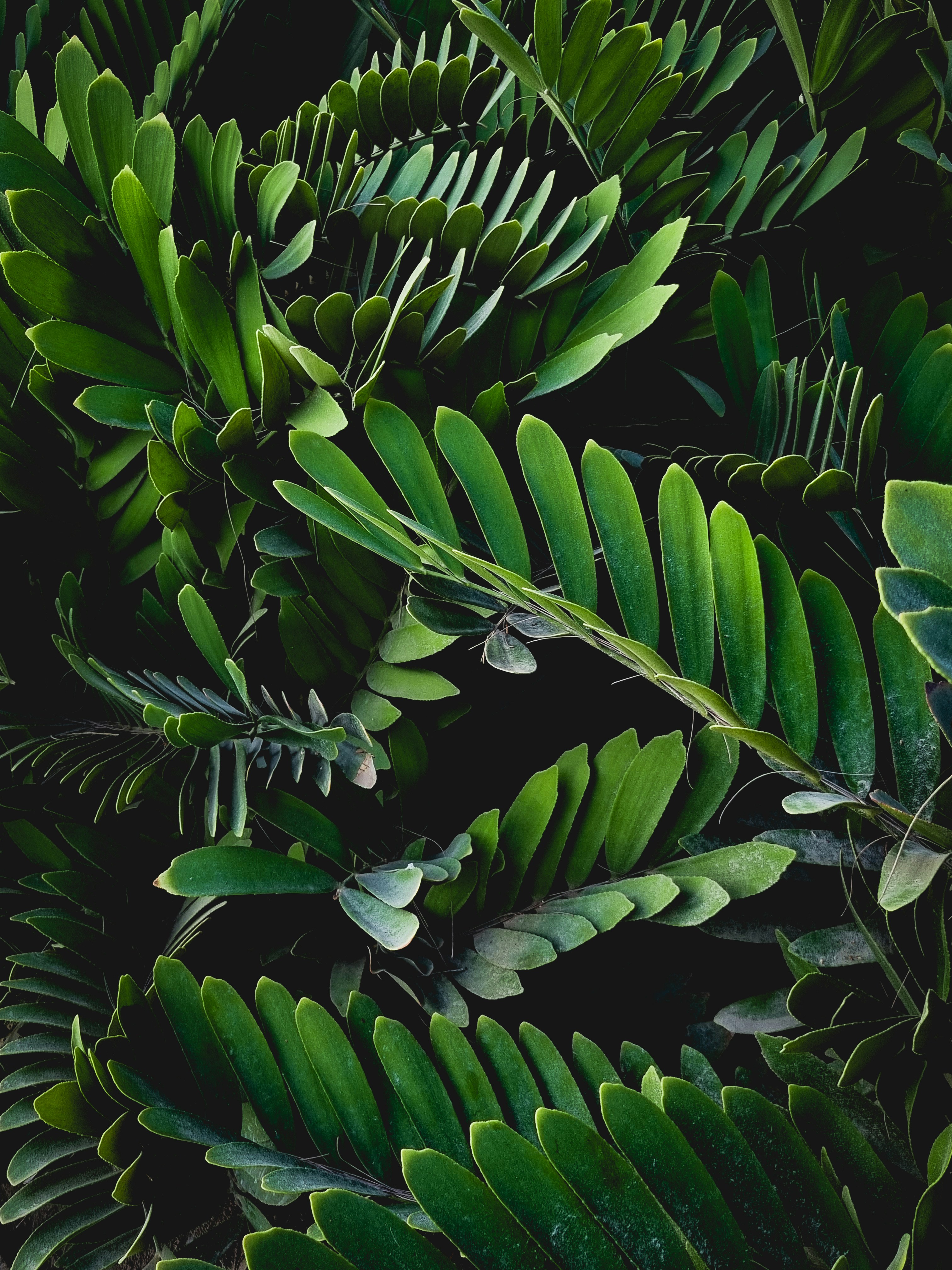 Photo by fatemeh_photography