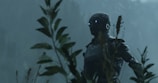 A robotic figure with glowing eyes is positioned among tall plants in a foggy, natural setting, evoking a sense of mystery and technology blended with nature.