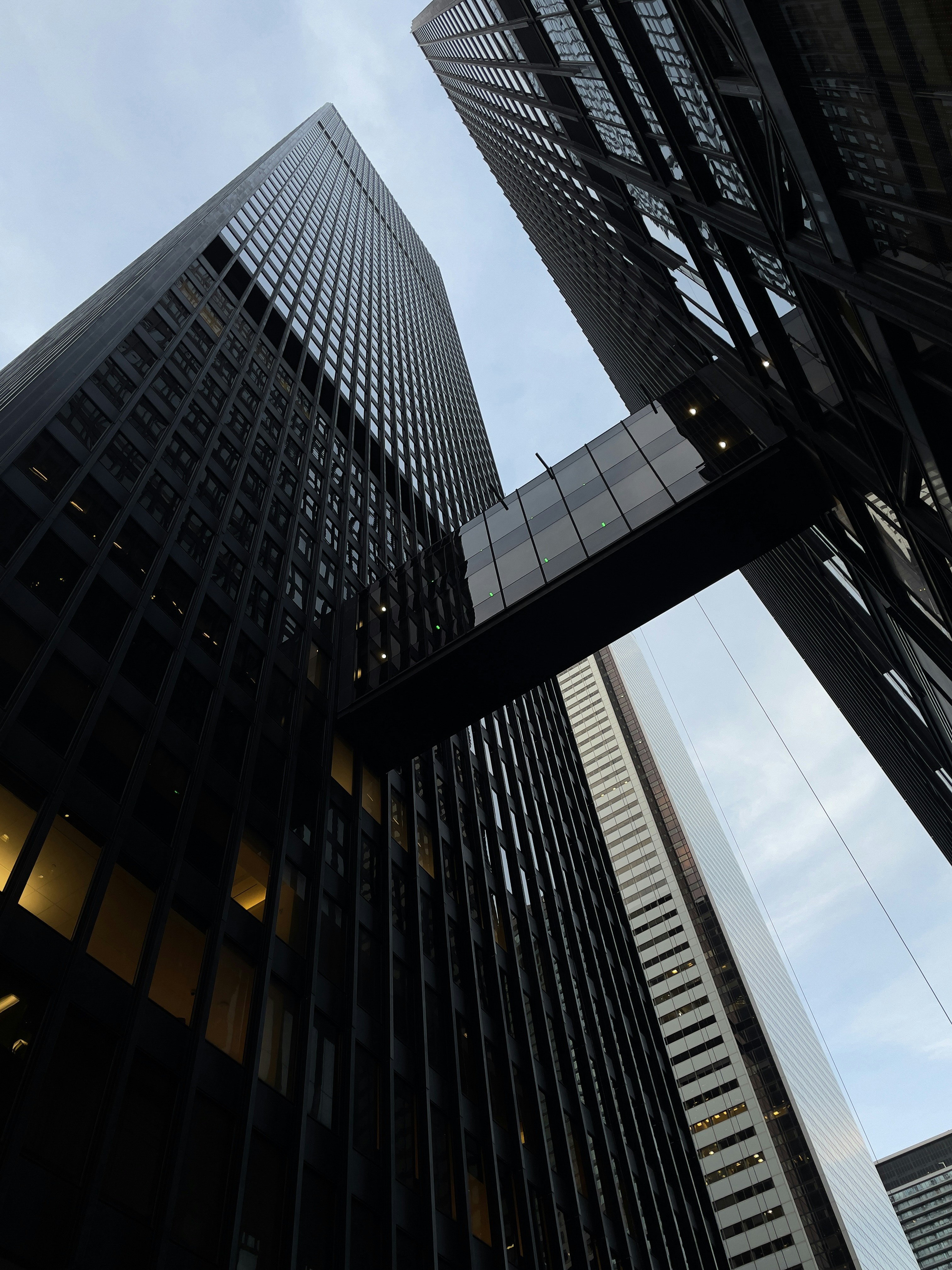 Photo by allenboguslavsky