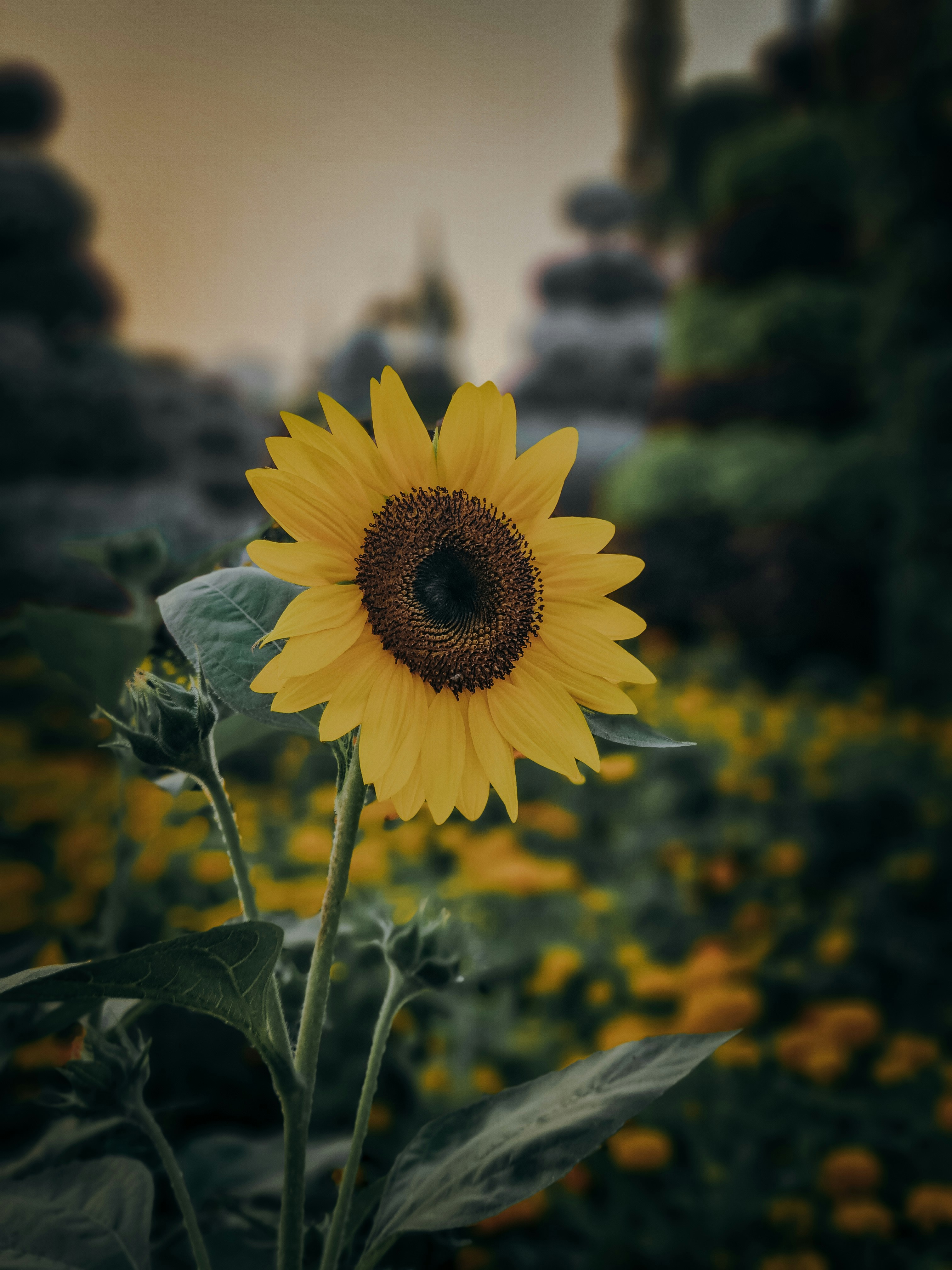 Photo by fatemeh_photography