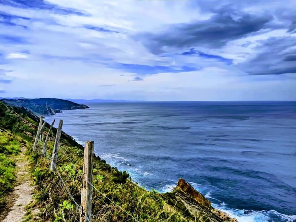 a path leading to a body of water