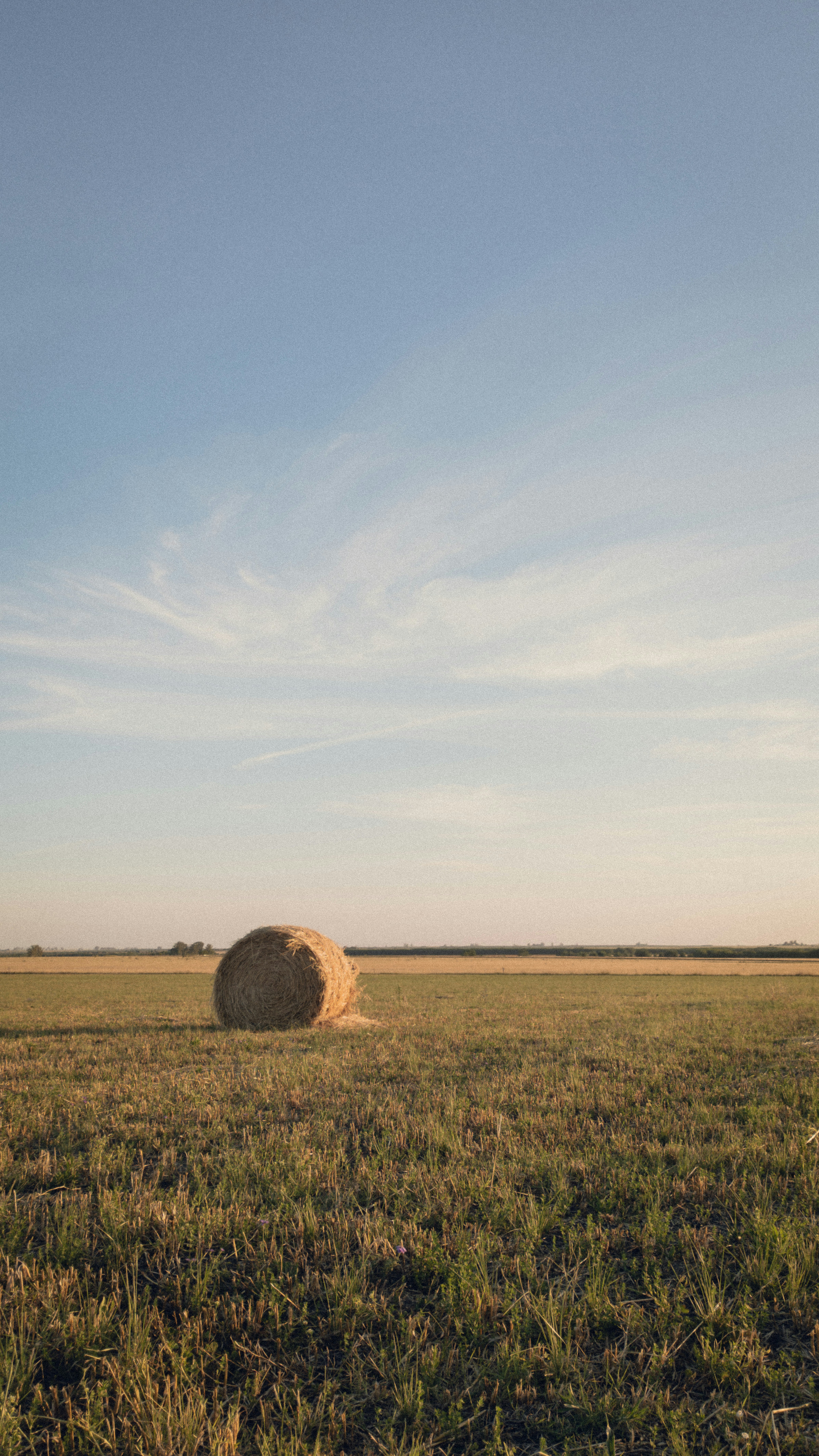 Photo by dariobonzi39