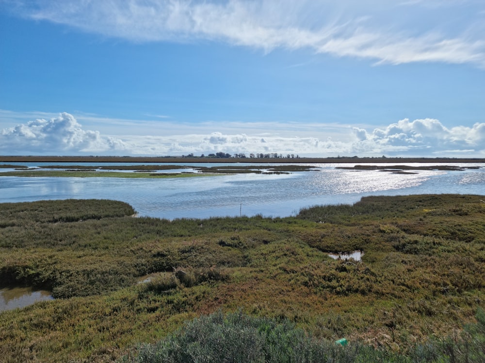 uno specchio d'acqua con terra intorno