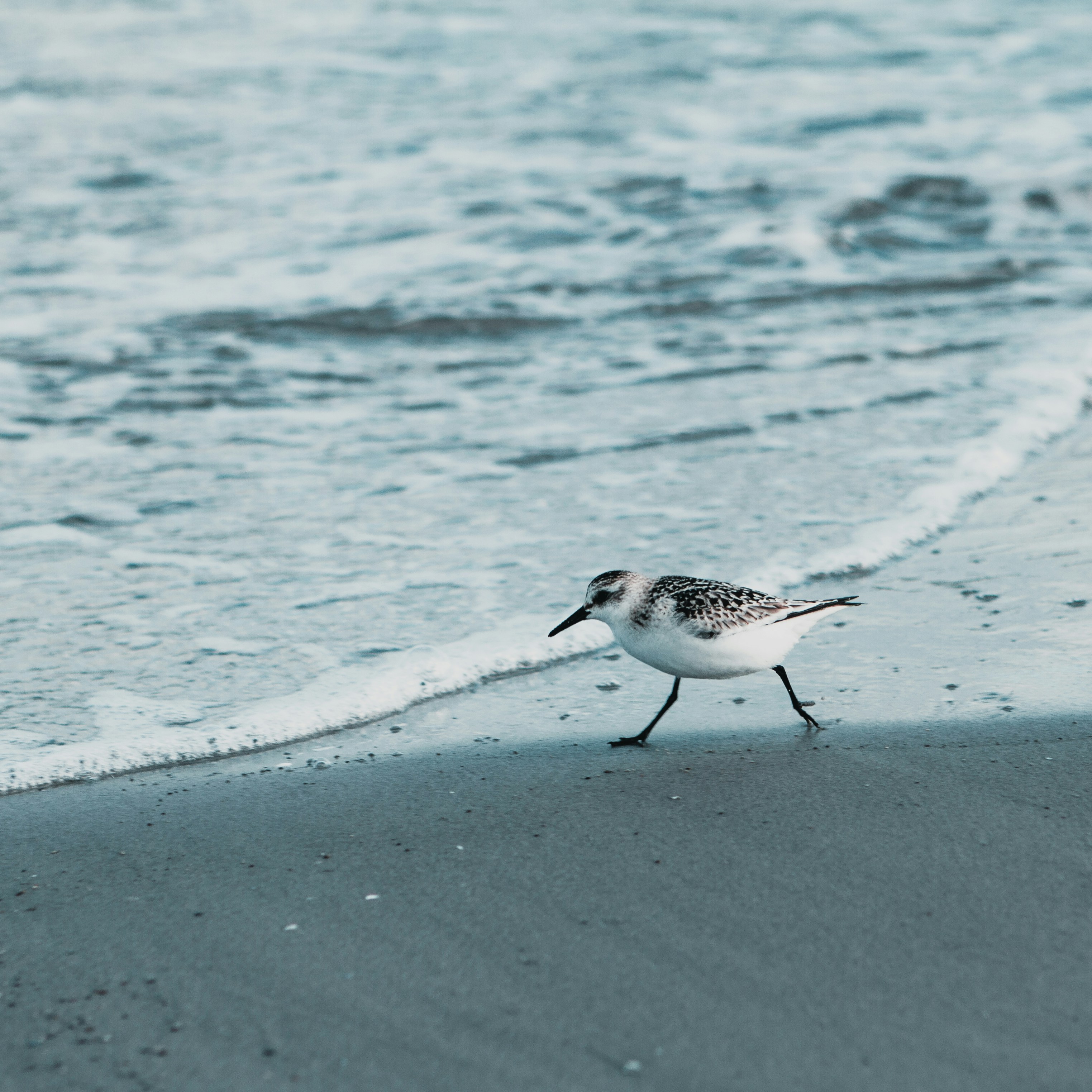 Photo by luk4s_neumann