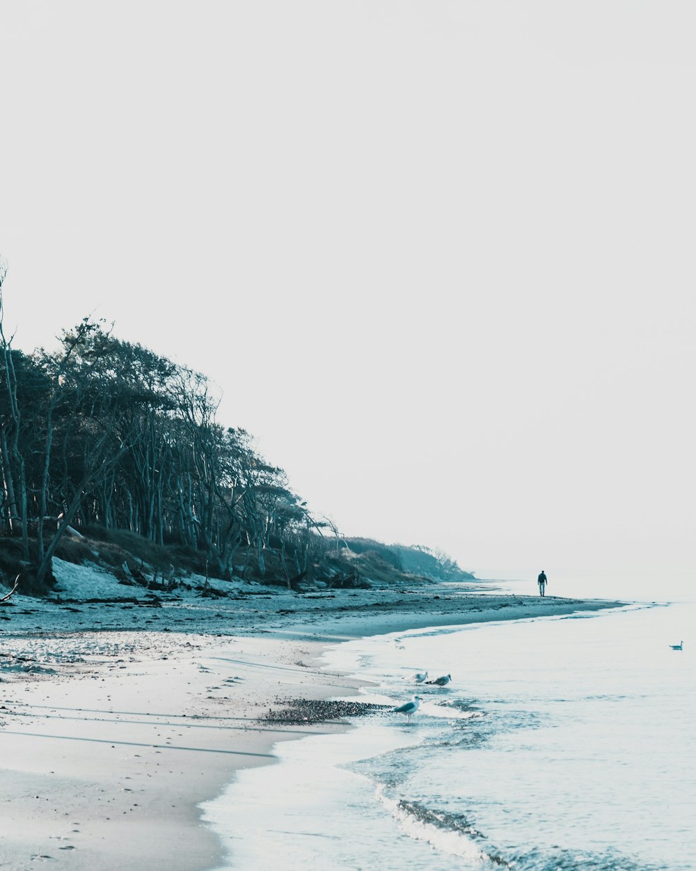 a person walking on a beach