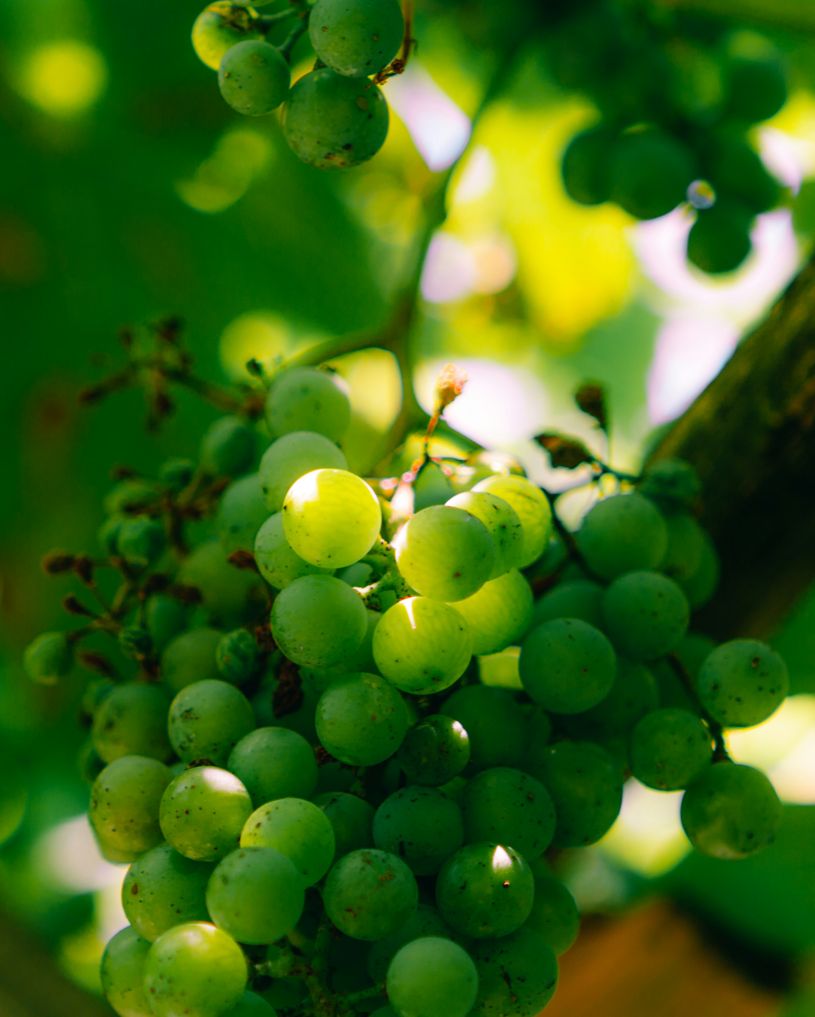 Photo by luk4s_neumann