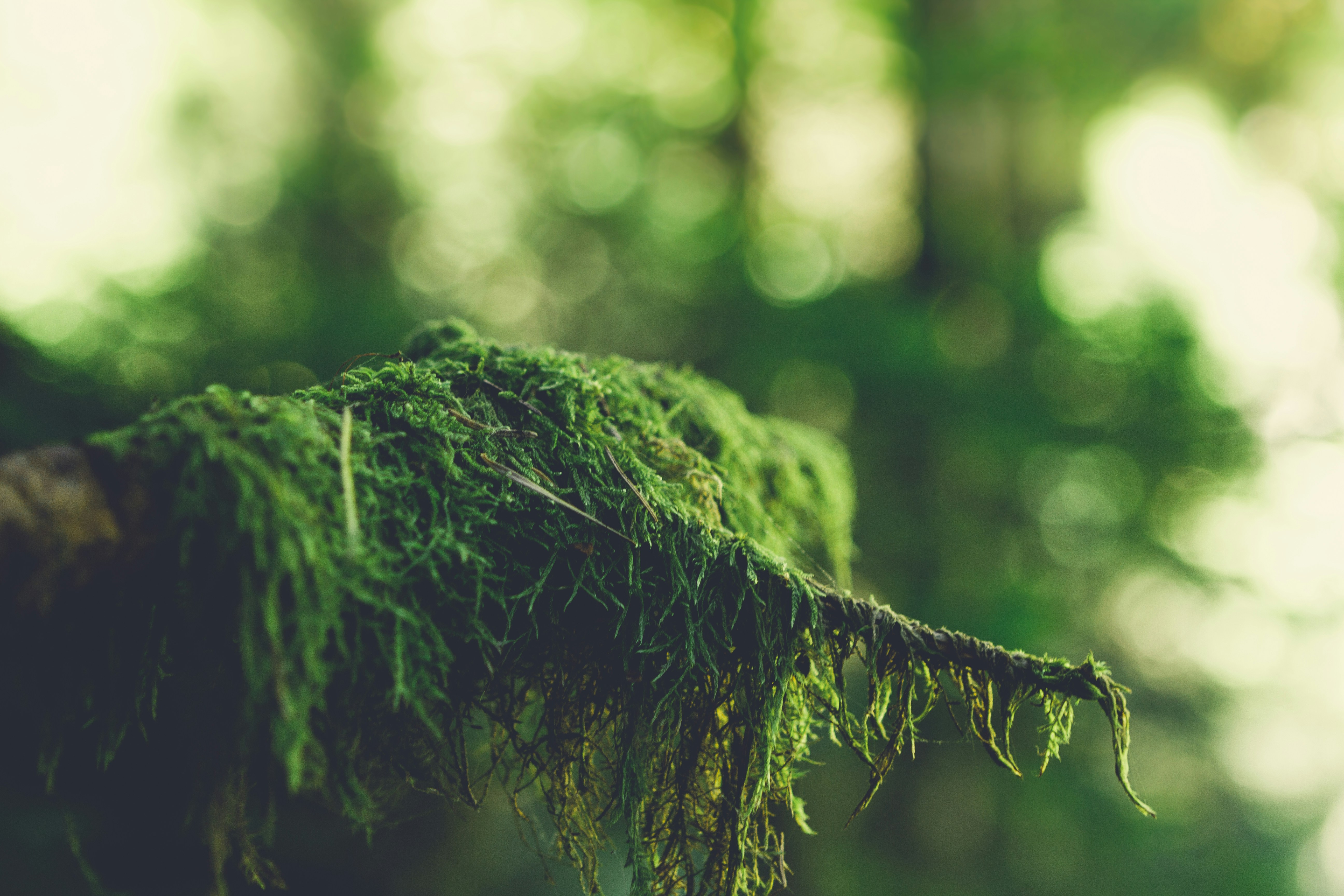 Photo by luk4s_neumann