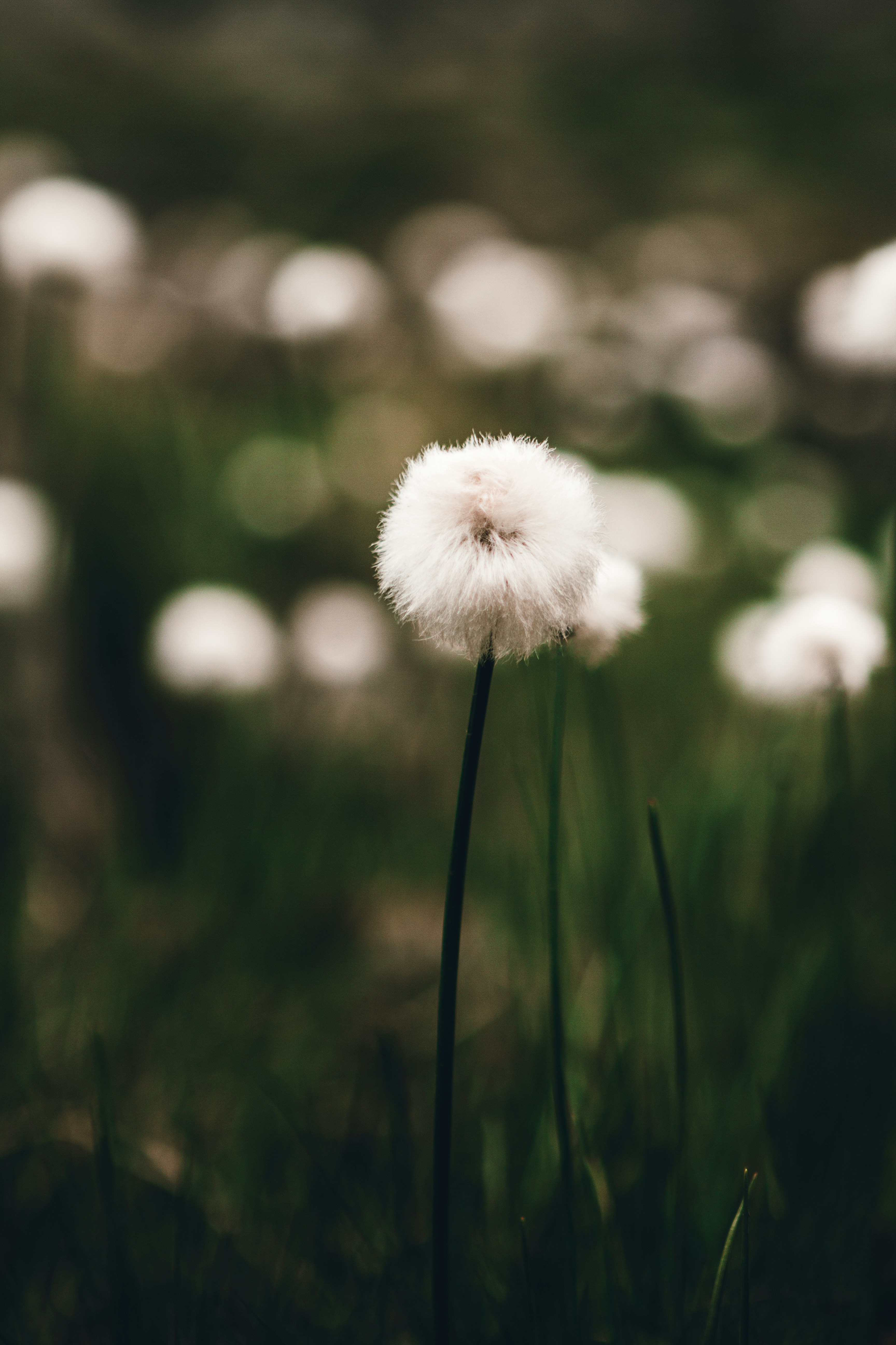 Photo by luk4s_neumann