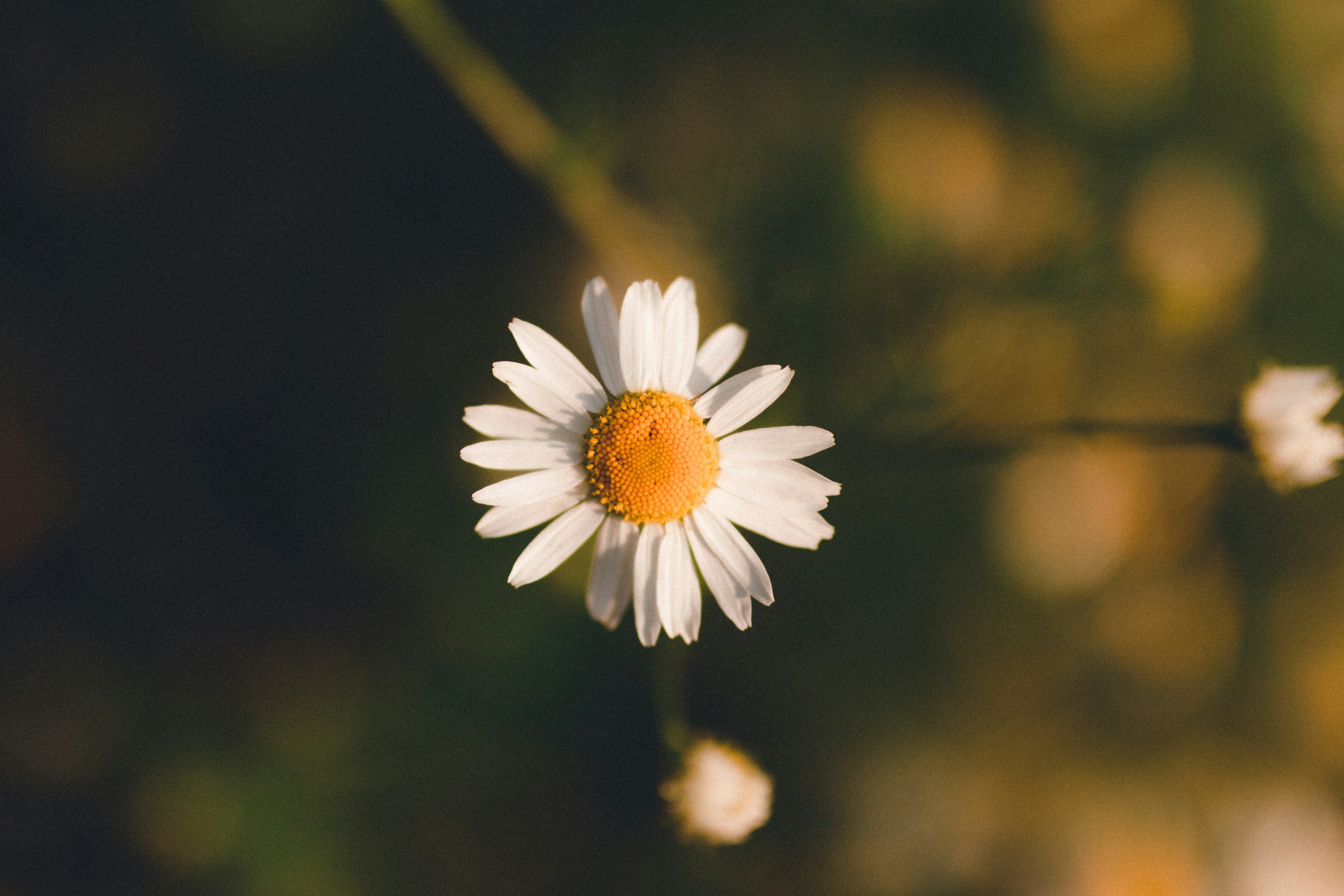 Photo by luk4s_neumann