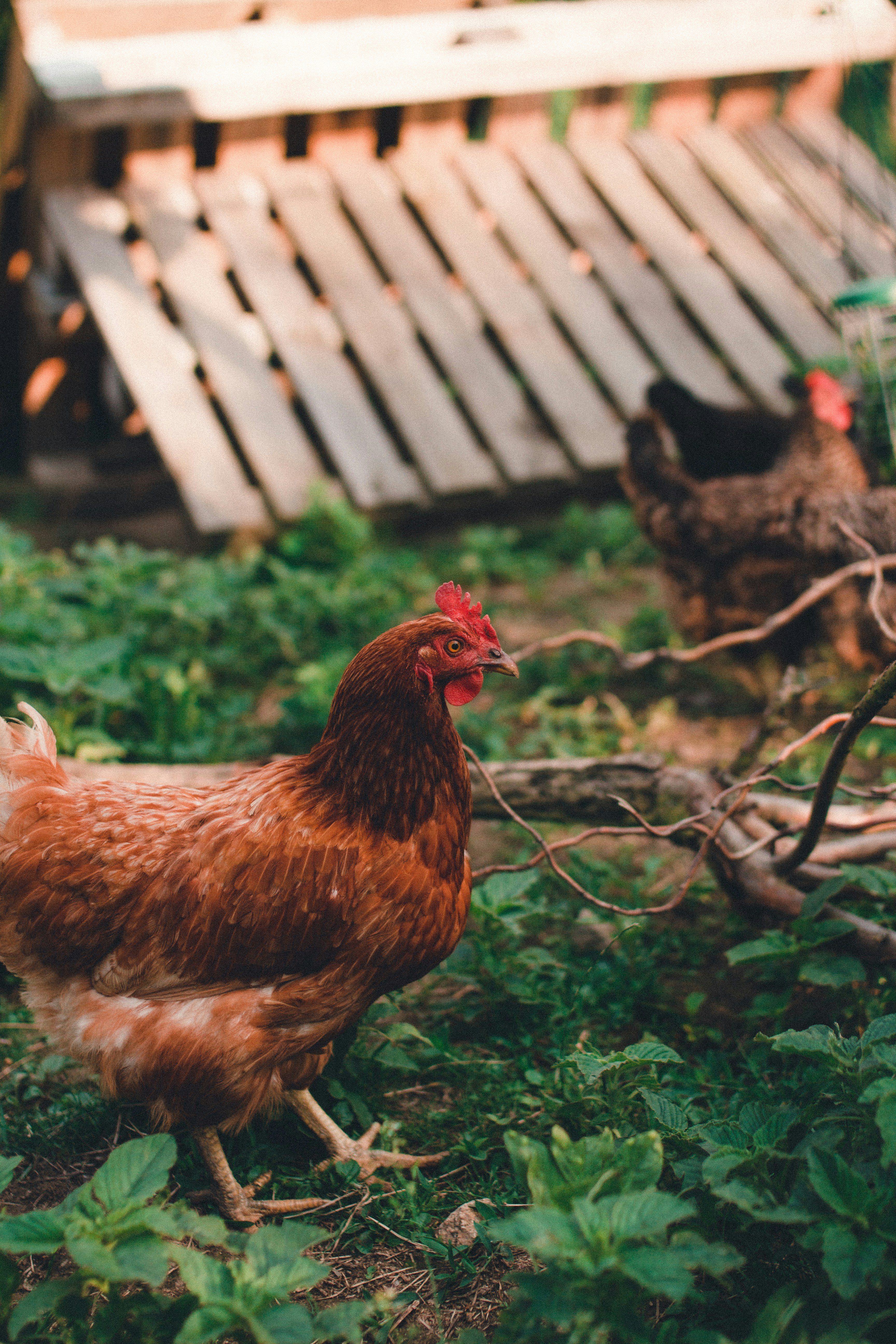 Photo by luk4s_neumann