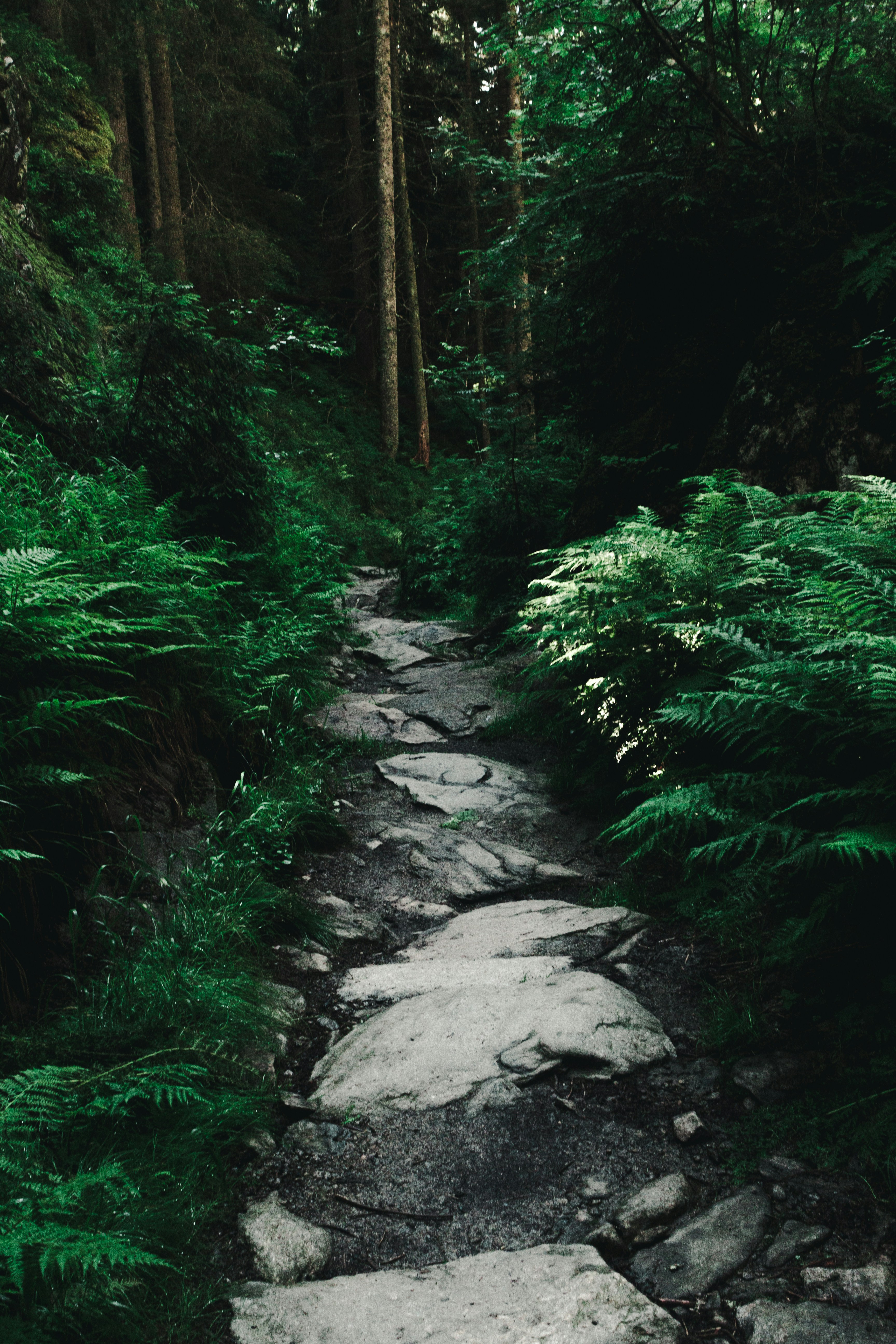 Photo by luk4s_neumann