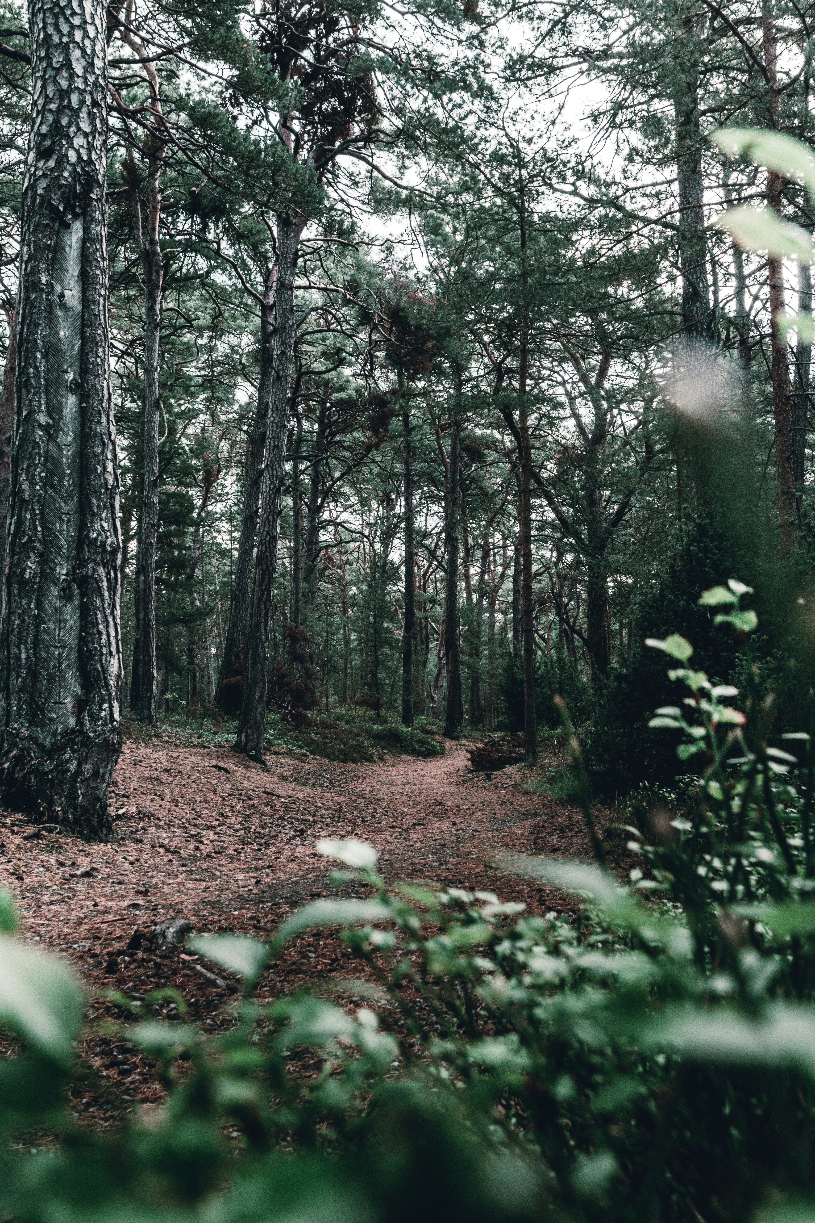 Photo by luk4s_neumann